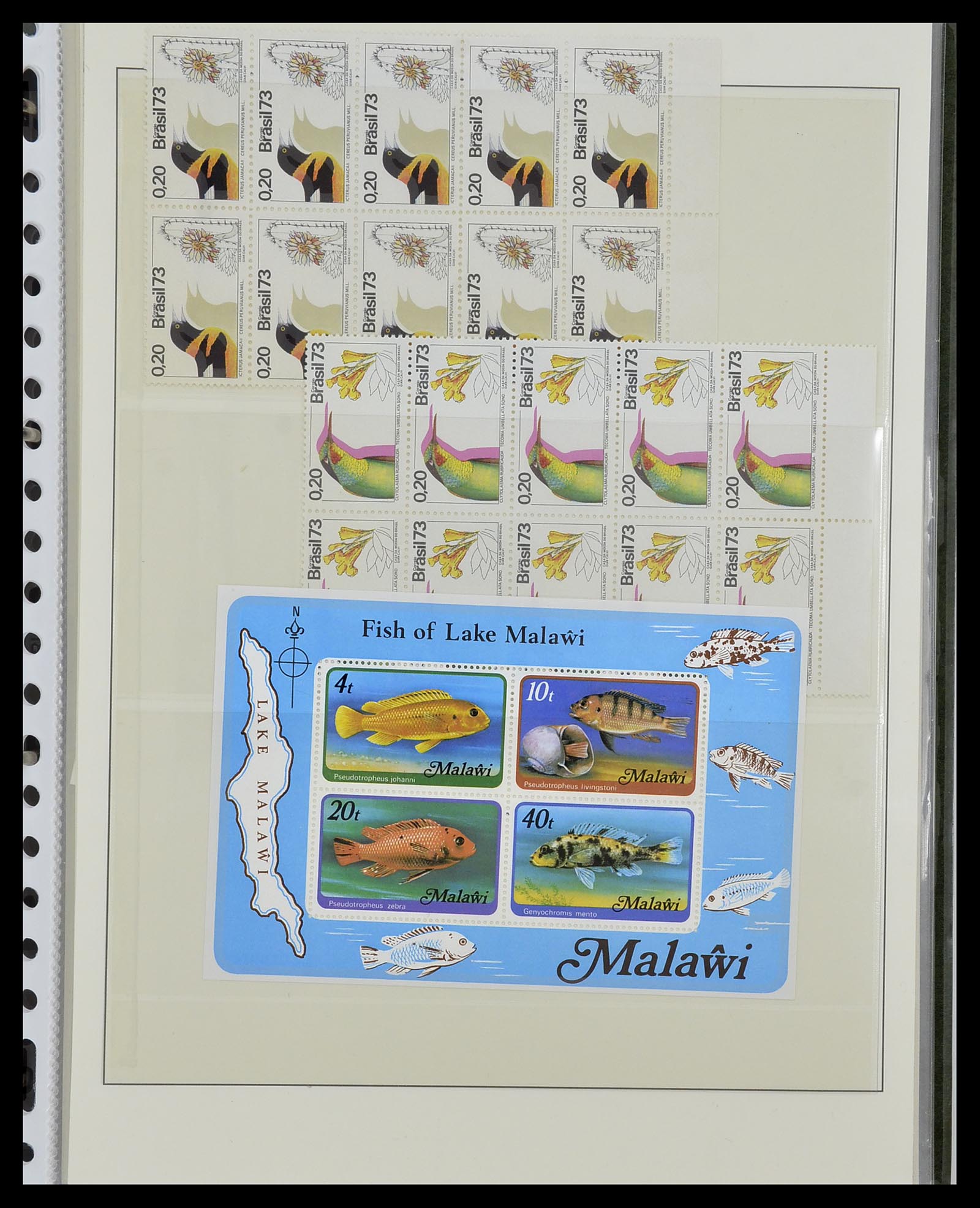 34290 023 - Postzegelverzameling 34290 Motief dieren postfris 1926-2005.