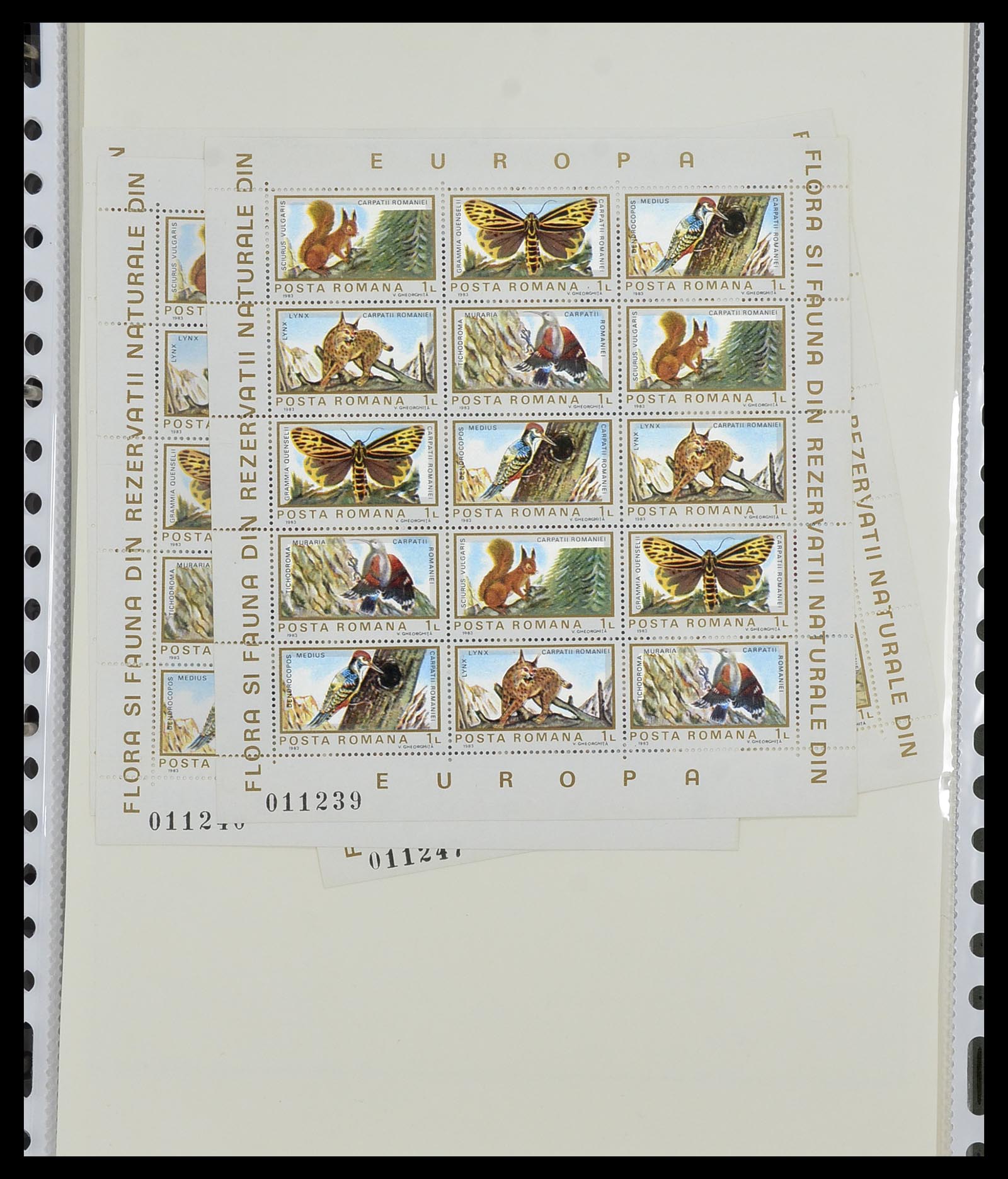 34290 026 - Postzegelverzameling 34290 Motief dieren postfris 1926-2005.