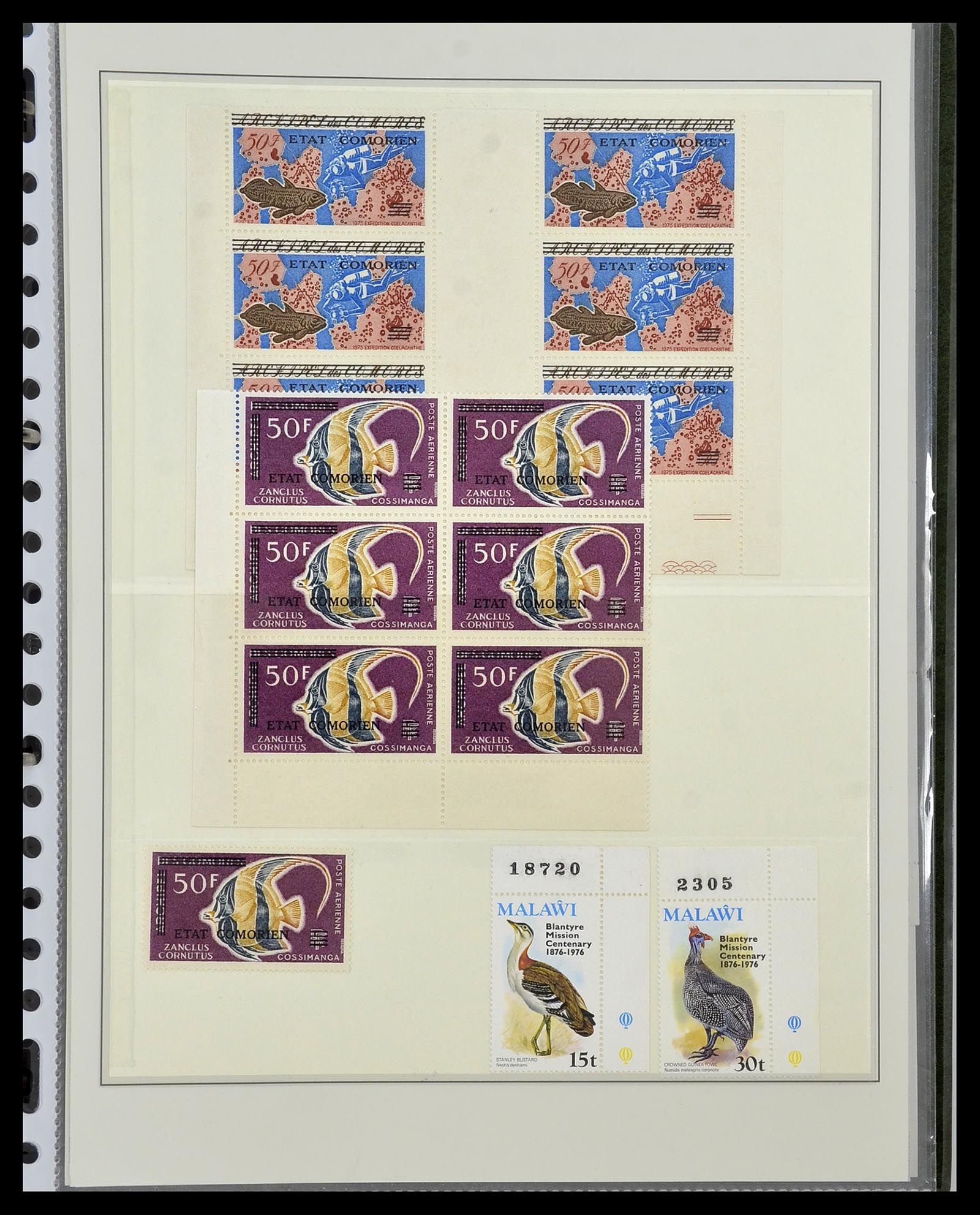 34290 029 - Postzegelverzameling 34290 Motief dieren postfris 1926-2005.