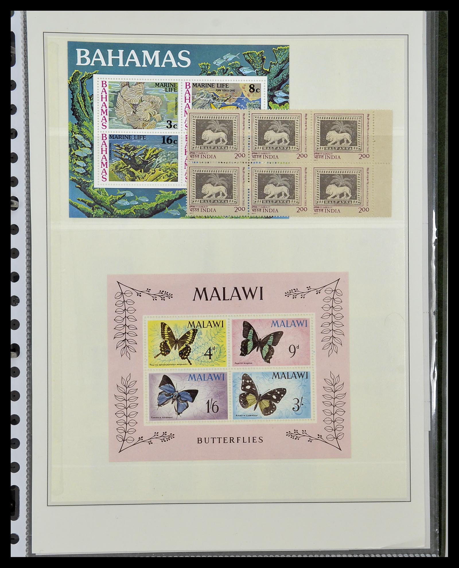 34290 031 - Postzegelverzameling 34290 Motief dieren postfris 1926-2005.
