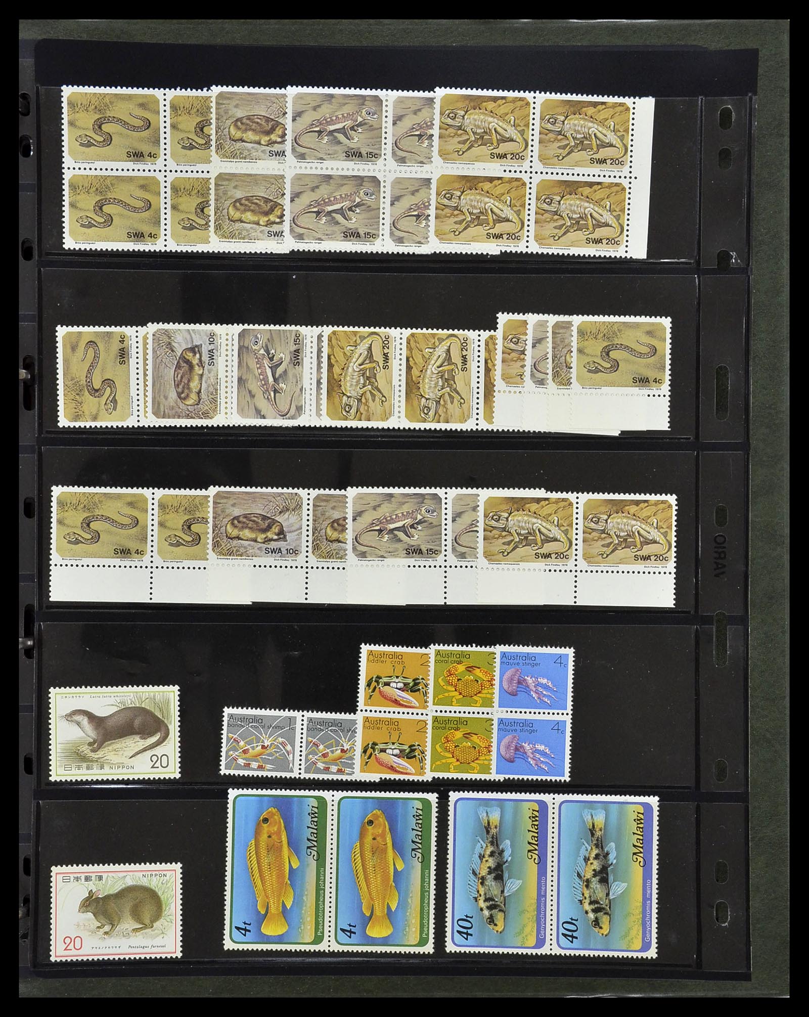 34290 036 - Postzegelverzameling 34290 Motief dieren postfris 1926-2005.