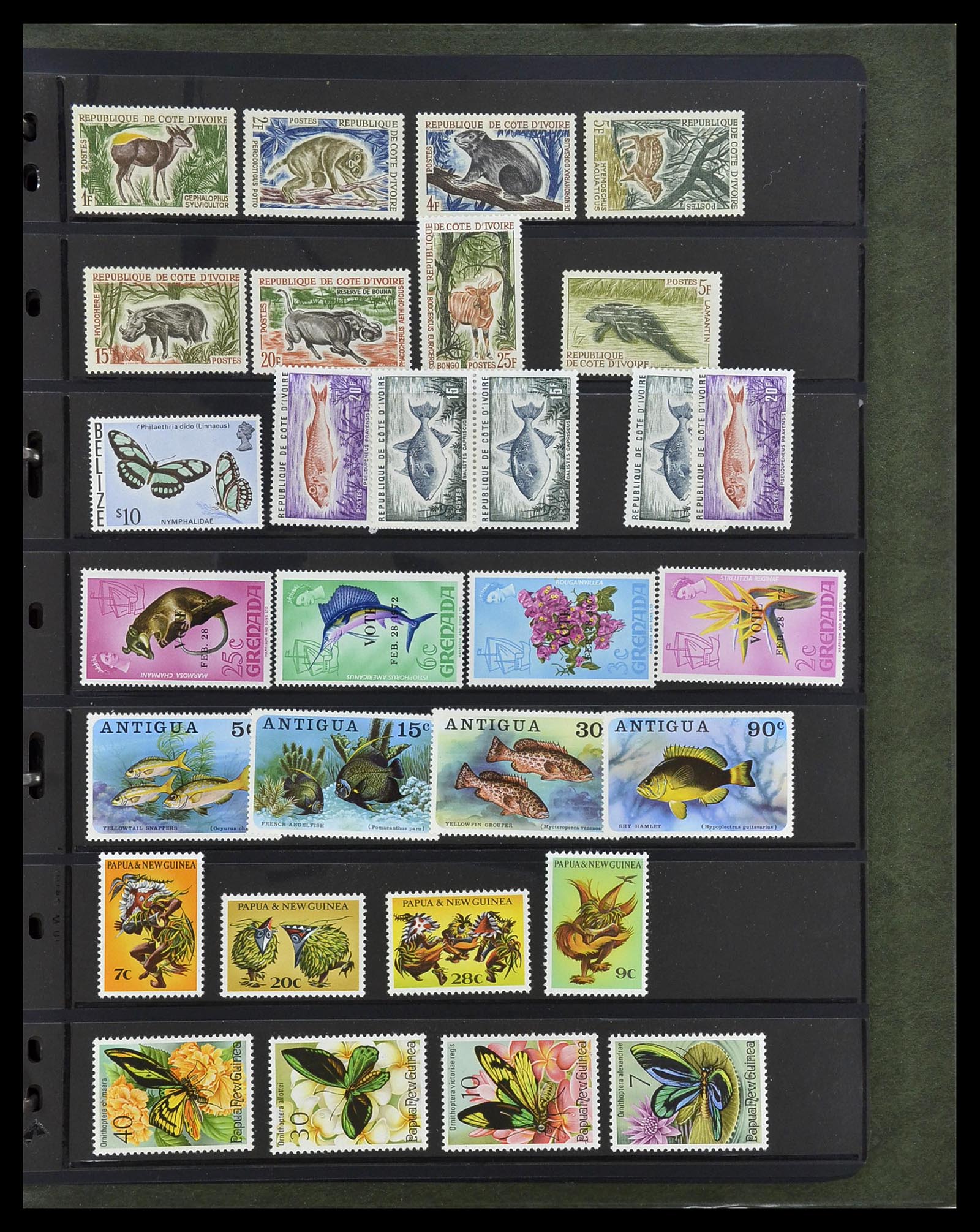 34290 037 - Postzegelverzameling 34290 Motief dieren postfris 1926-2005.