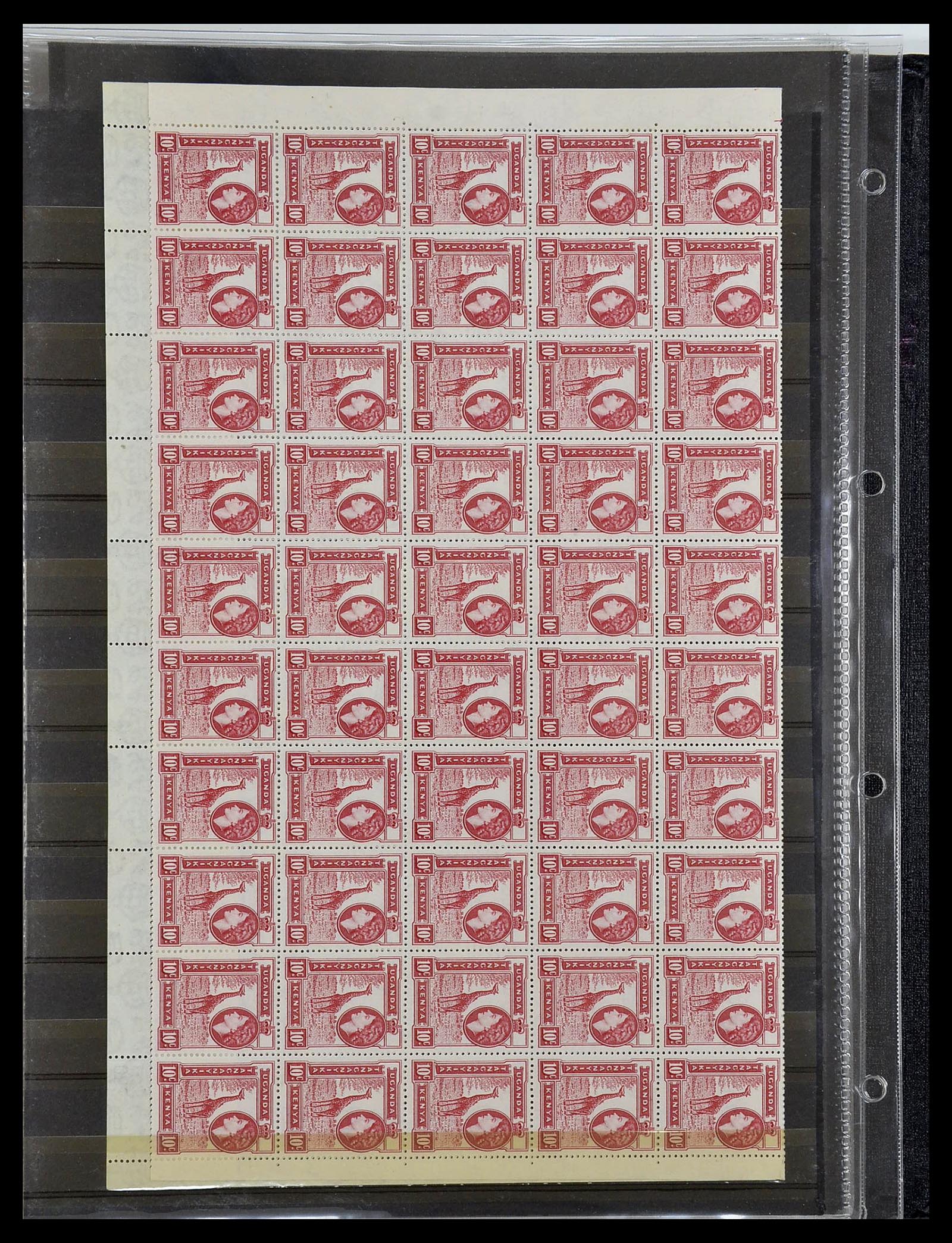 34290 046 - Postzegelverzameling 34290 Motief dieren postfris 1926-2005.