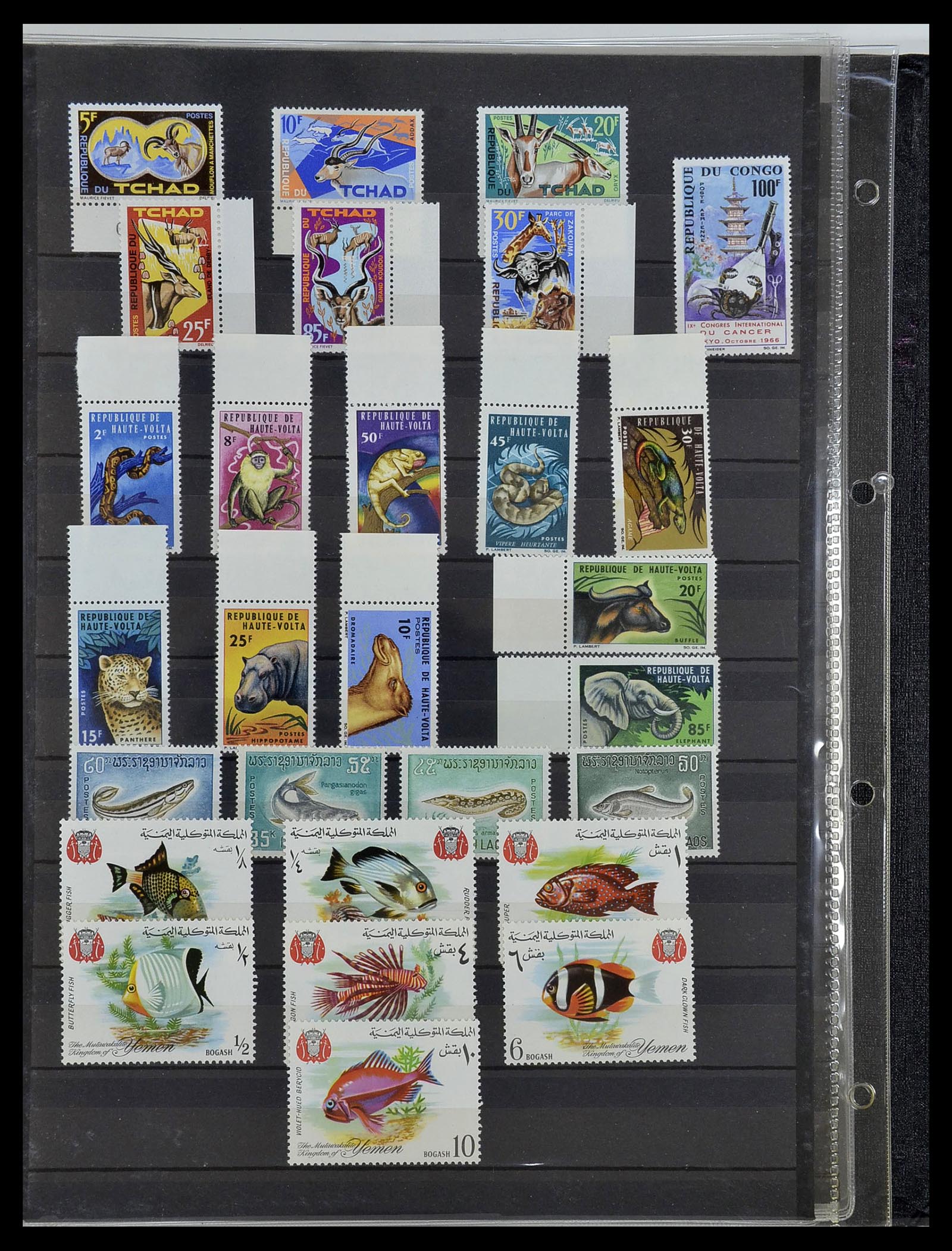 34290 048 - Postzegelverzameling 34290 Motief dieren postfris 1926-2005.