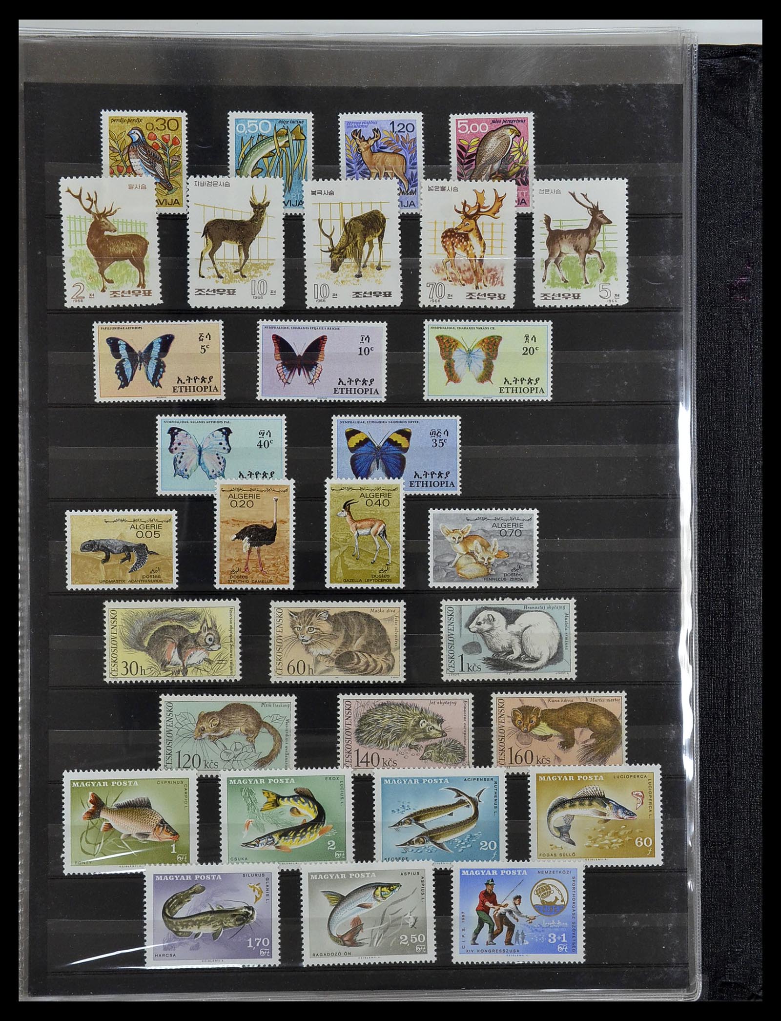 34290 049 - Postzegelverzameling 34290 Motief dieren postfris 1926-2005.