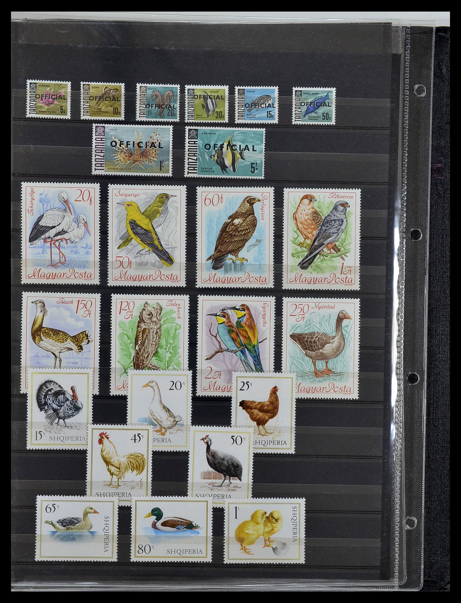 34290 054 - Postzegelverzameling 34290 Motief dieren postfris 1926-2005.