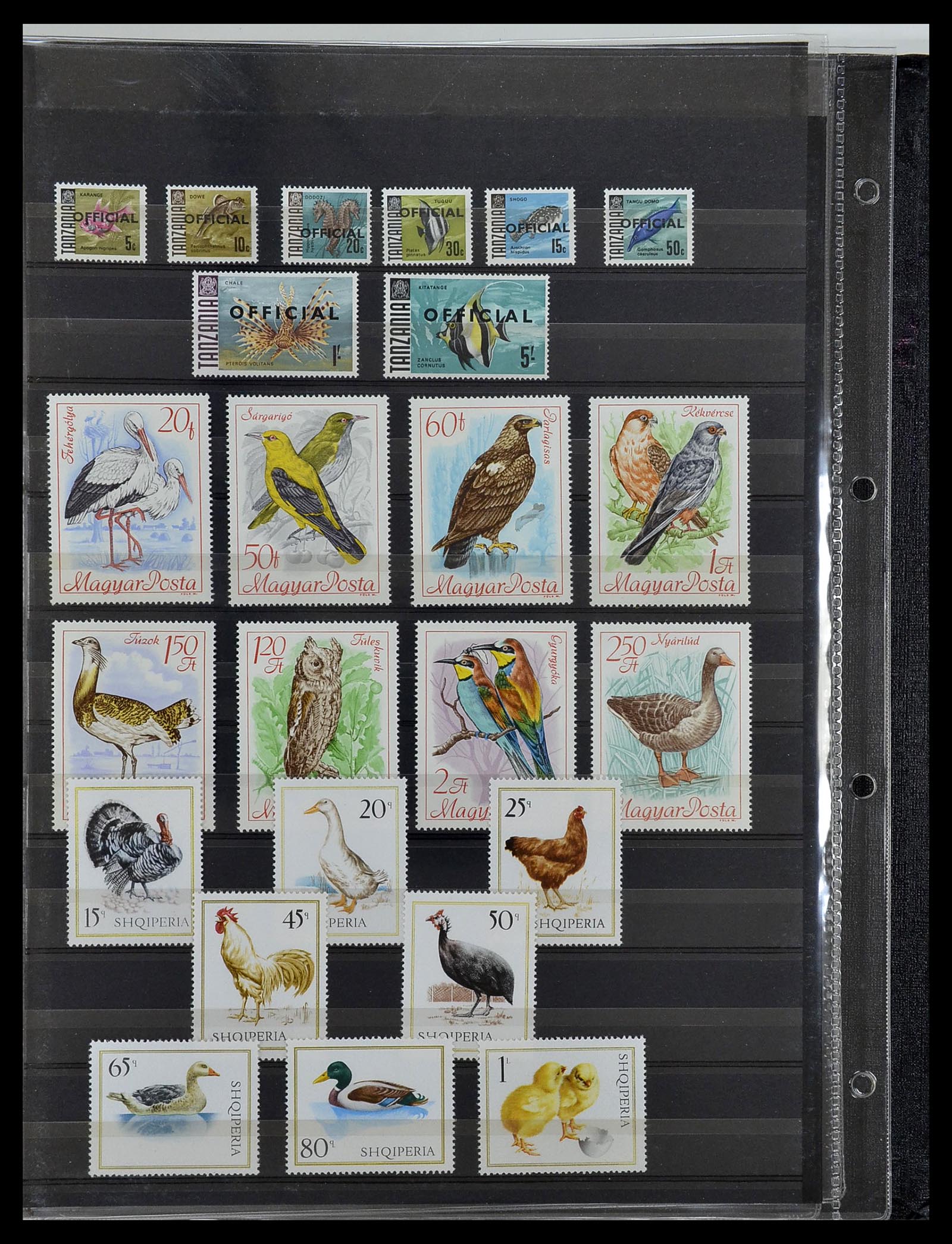 34290 056 - Postzegelverzameling 34290 Motief dieren postfris 1926-2005.