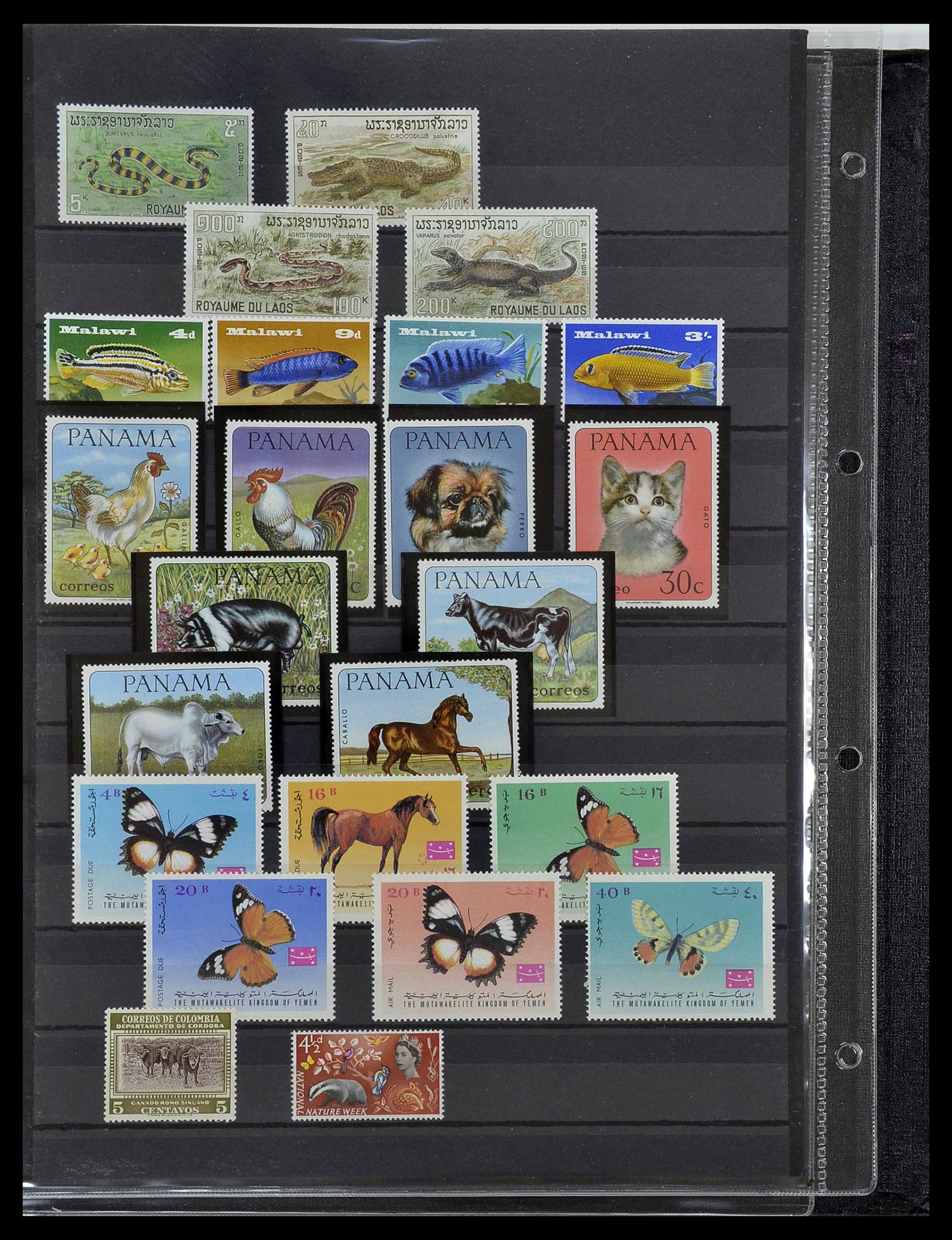 34290 058 - Postzegelverzameling 34290 Motief dieren postfris 1926-2005.