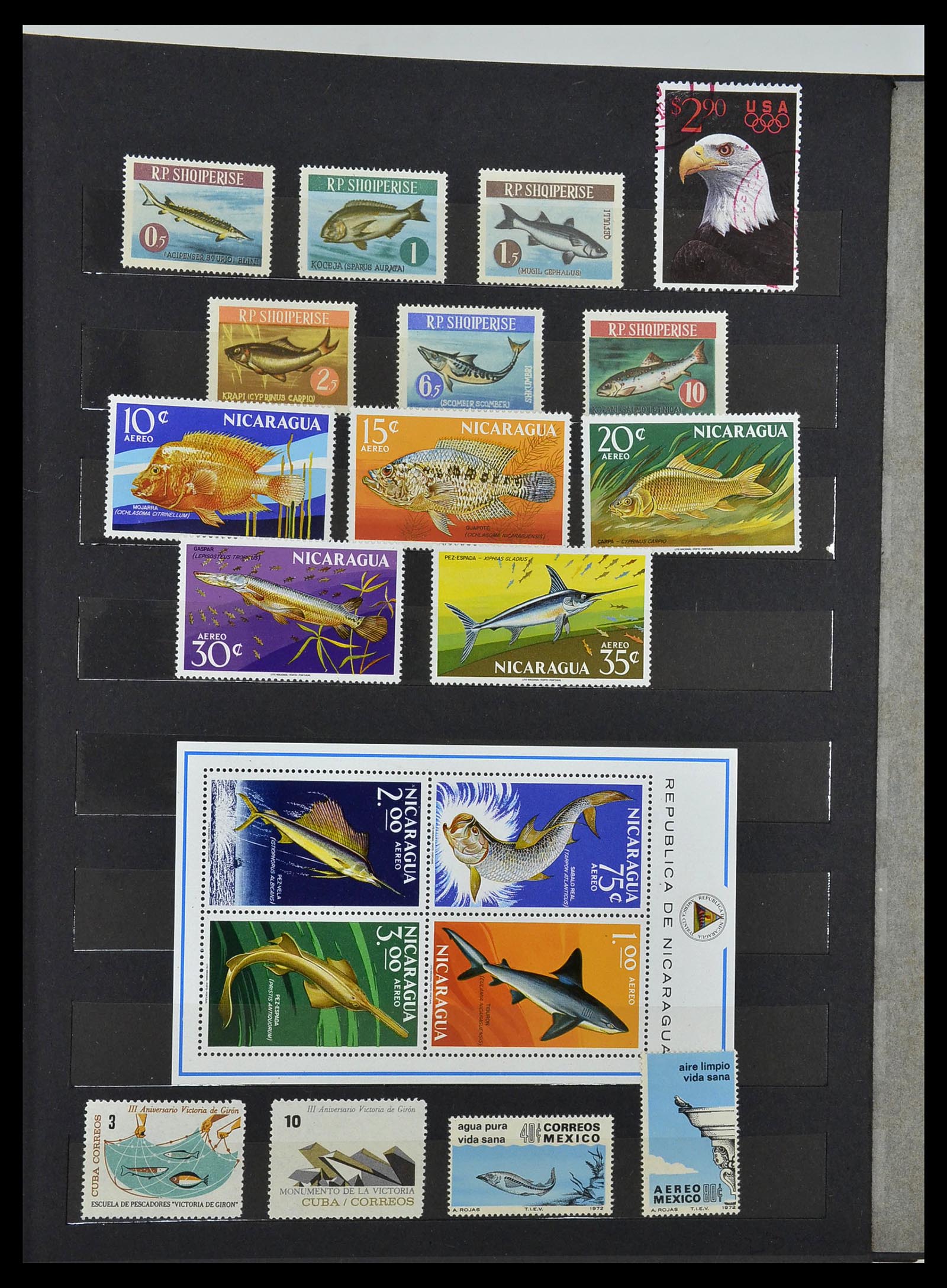 34290 061 - Postzegelverzameling 34290 Motief dieren postfris 1926-2005.