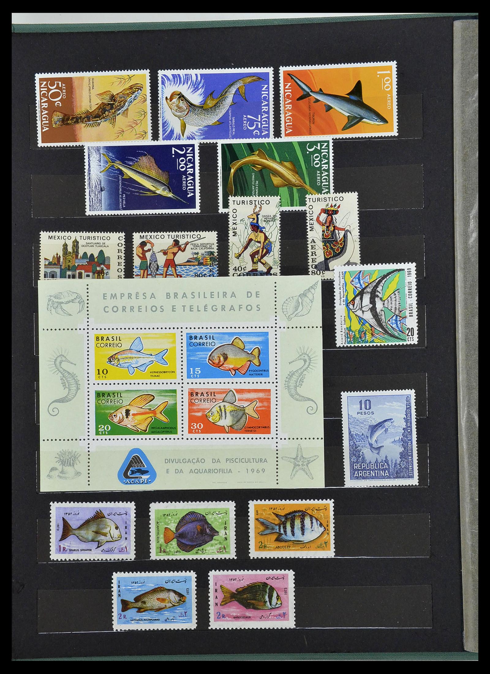 34290 062 - Postzegelverzameling 34290 Motief dieren postfris 1926-2005.