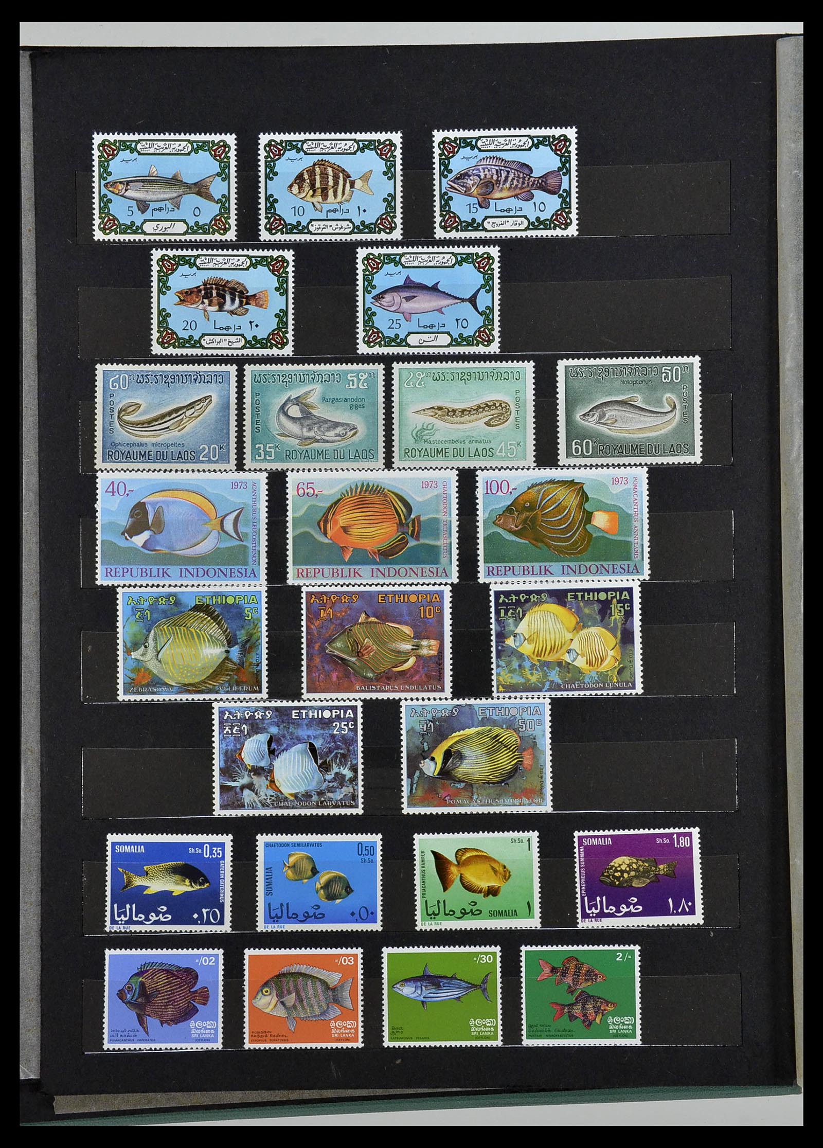 34290 066 - Postzegelverzameling 34290 Motief dieren postfris 1926-2005.