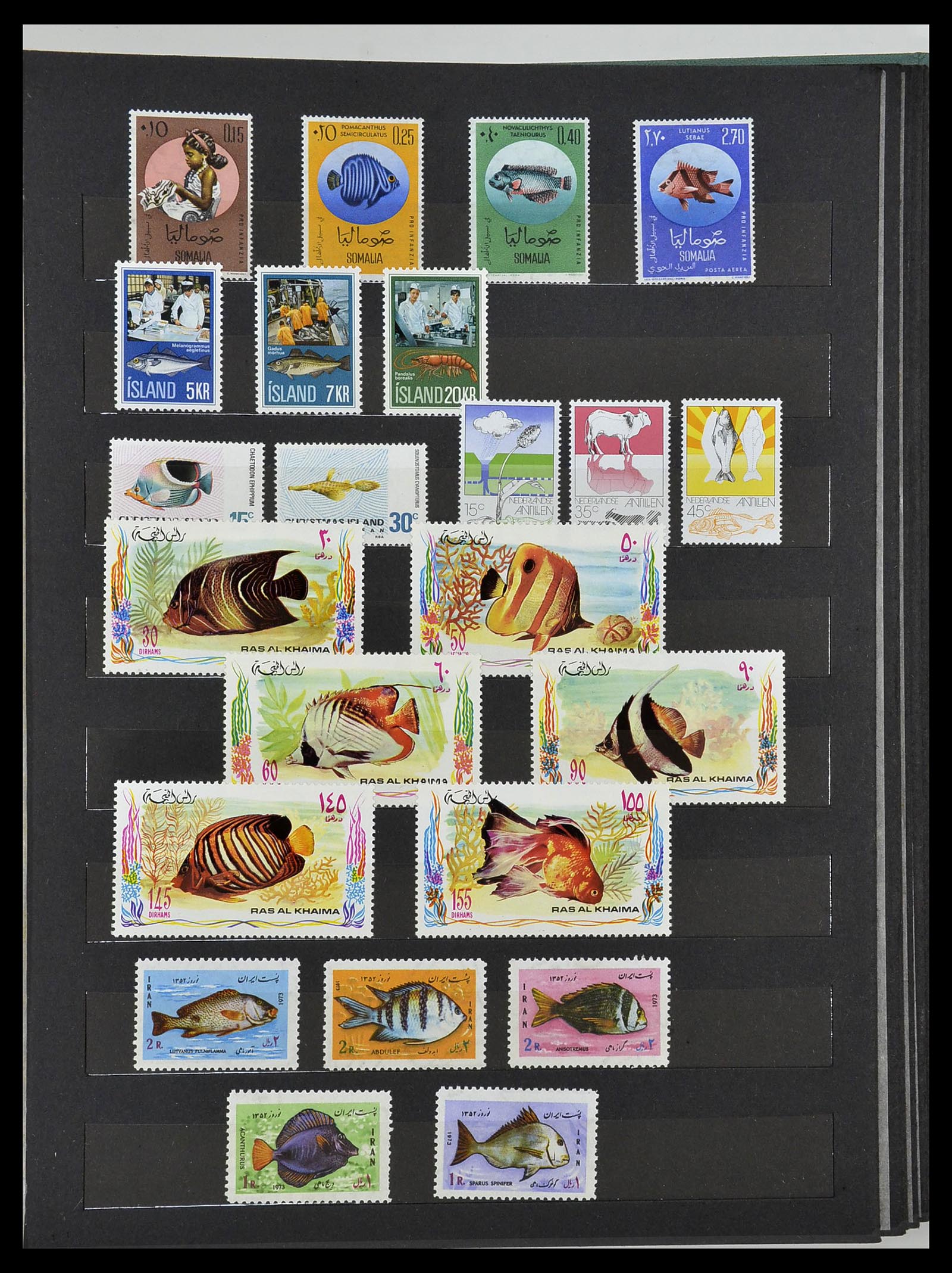 34290 069 - Postzegelverzameling 34290 Motief dieren postfris 1926-2005.