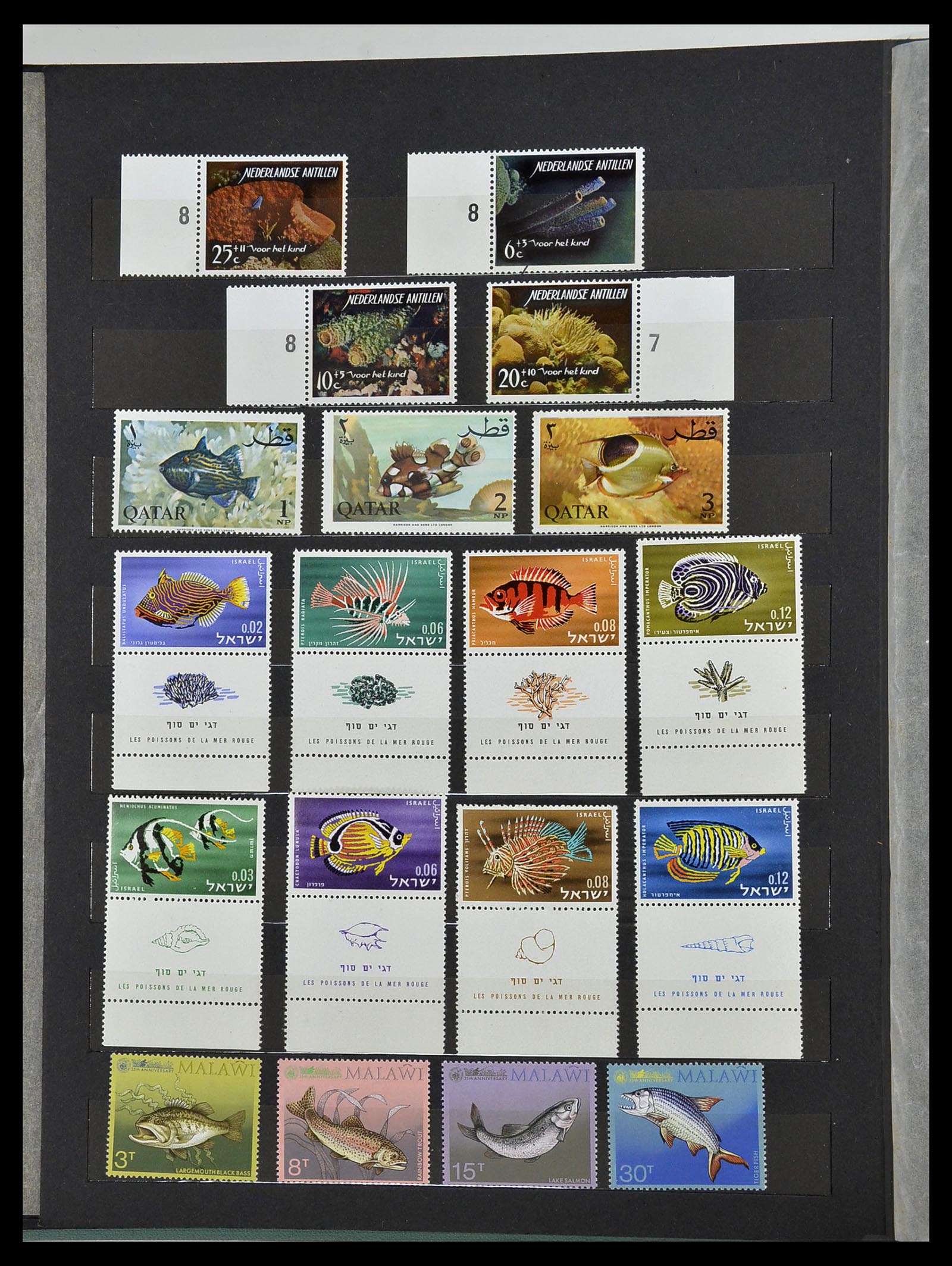 34290 071 - Postzegelverzameling 34290 Motief dieren postfris 1926-2005.