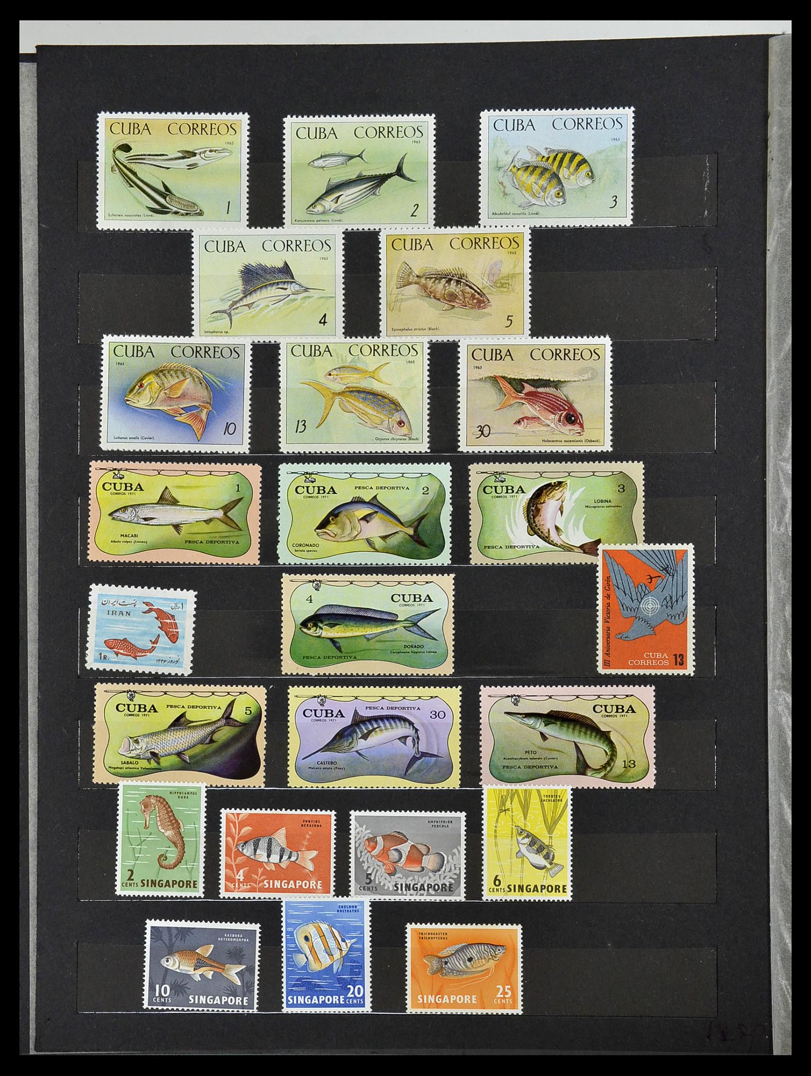 34290 078 - Postzegelverzameling 34290 Motief dieren postfris 1926-2005.