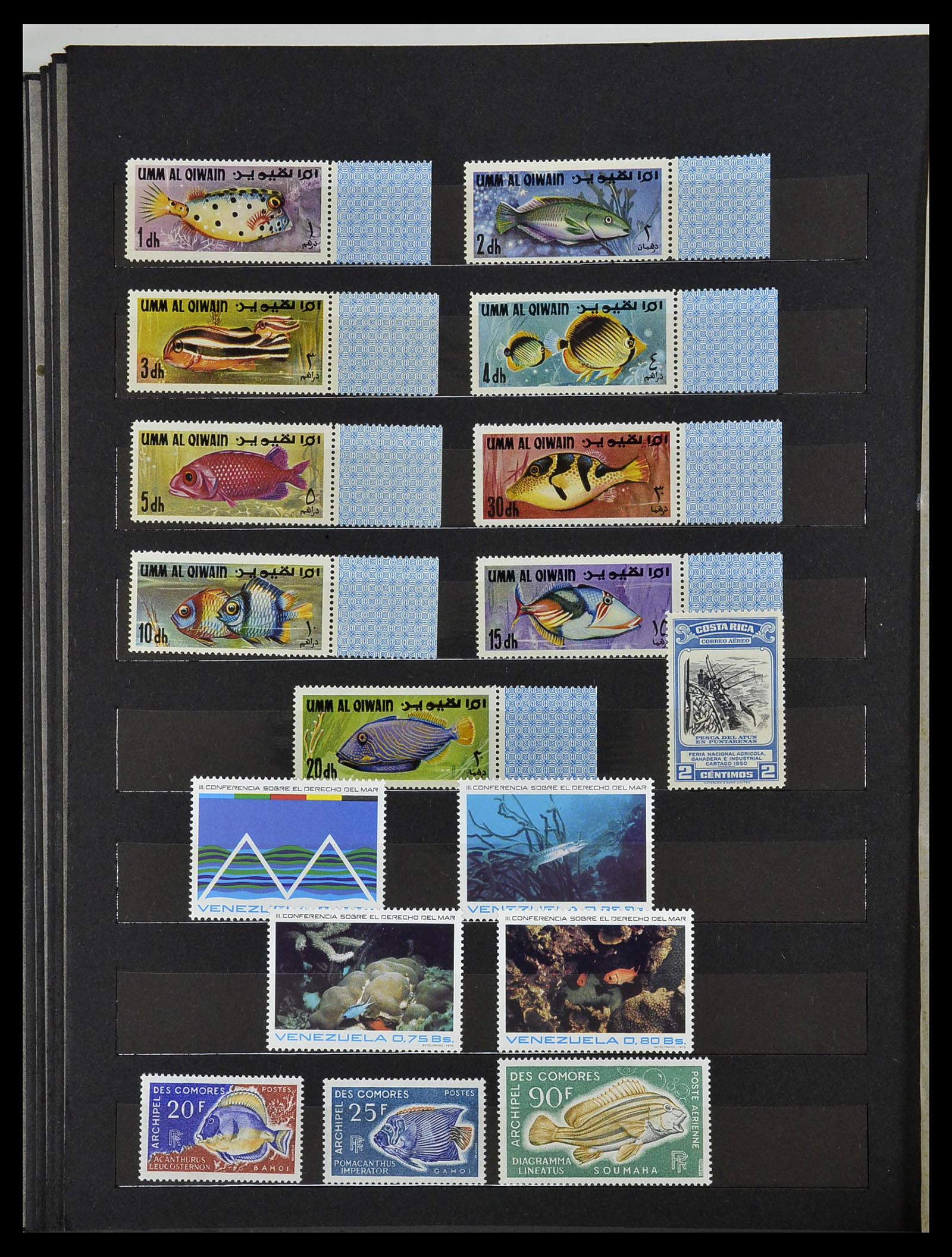 34290 080 - Postzegelverzameling 34290 Motief dieren postfris 1926-2005.