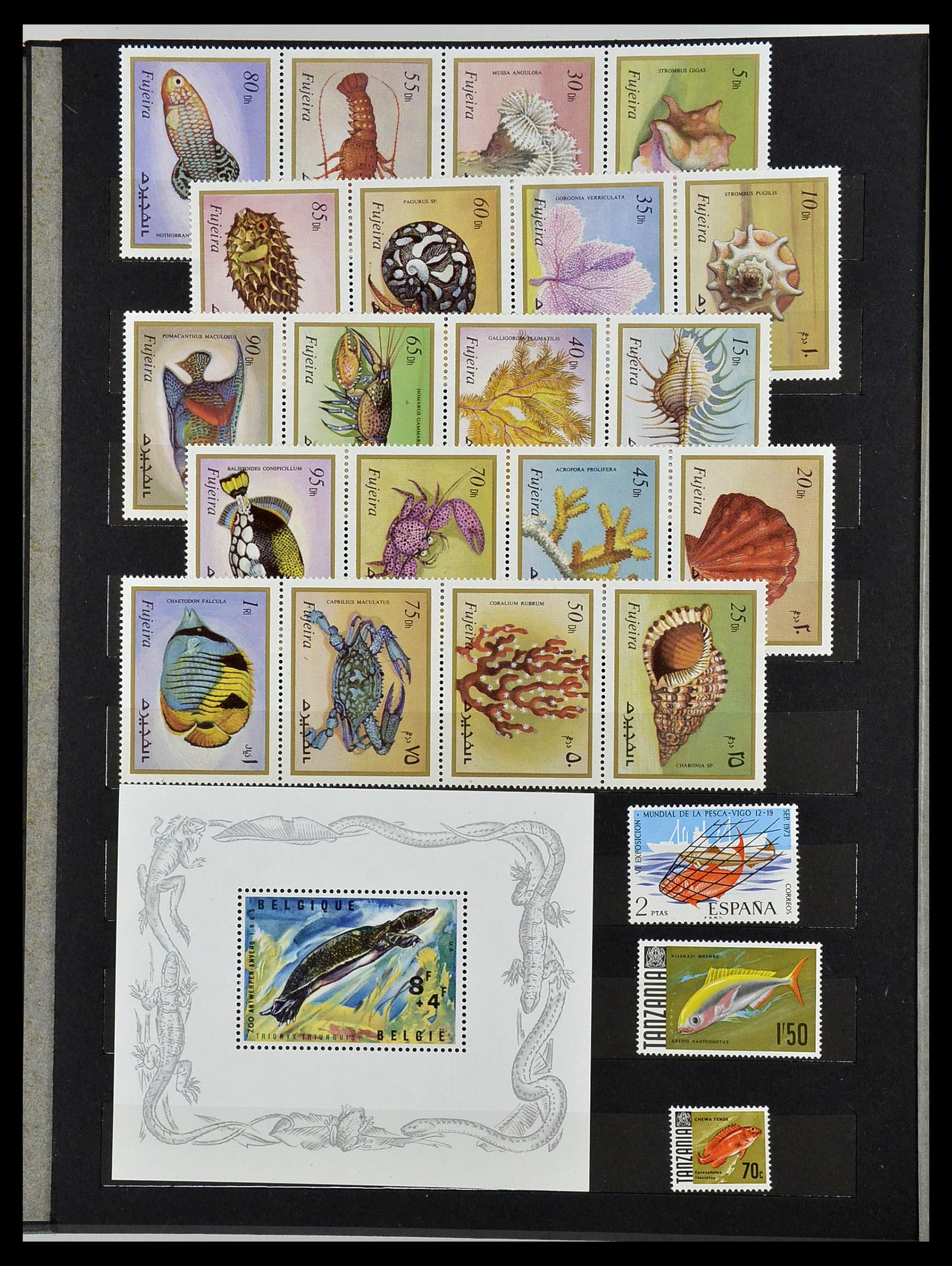 34290 082 - Postzegelverzameling 34290 Motief dieren postfris 1926-2005.