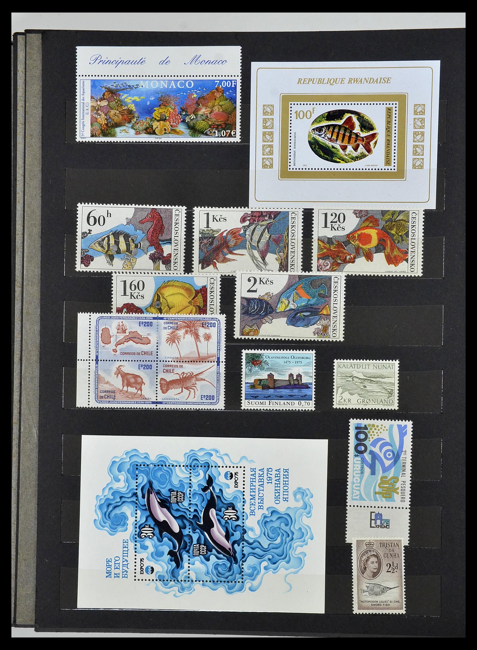 34290 084 - Postzegelverzameling 34290 Motief dieren postfris 1926-2005.