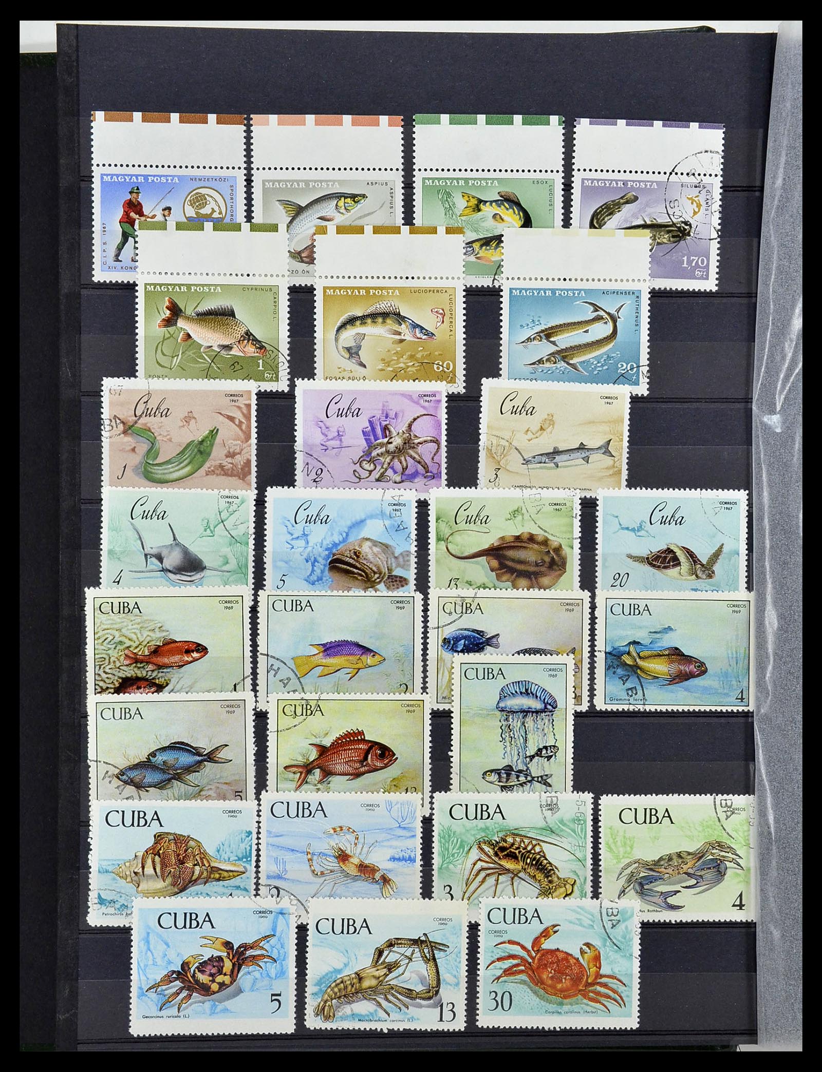 34290 086 - Postzegelverzameling 34290 Motief dieren postfris 1926-2005.