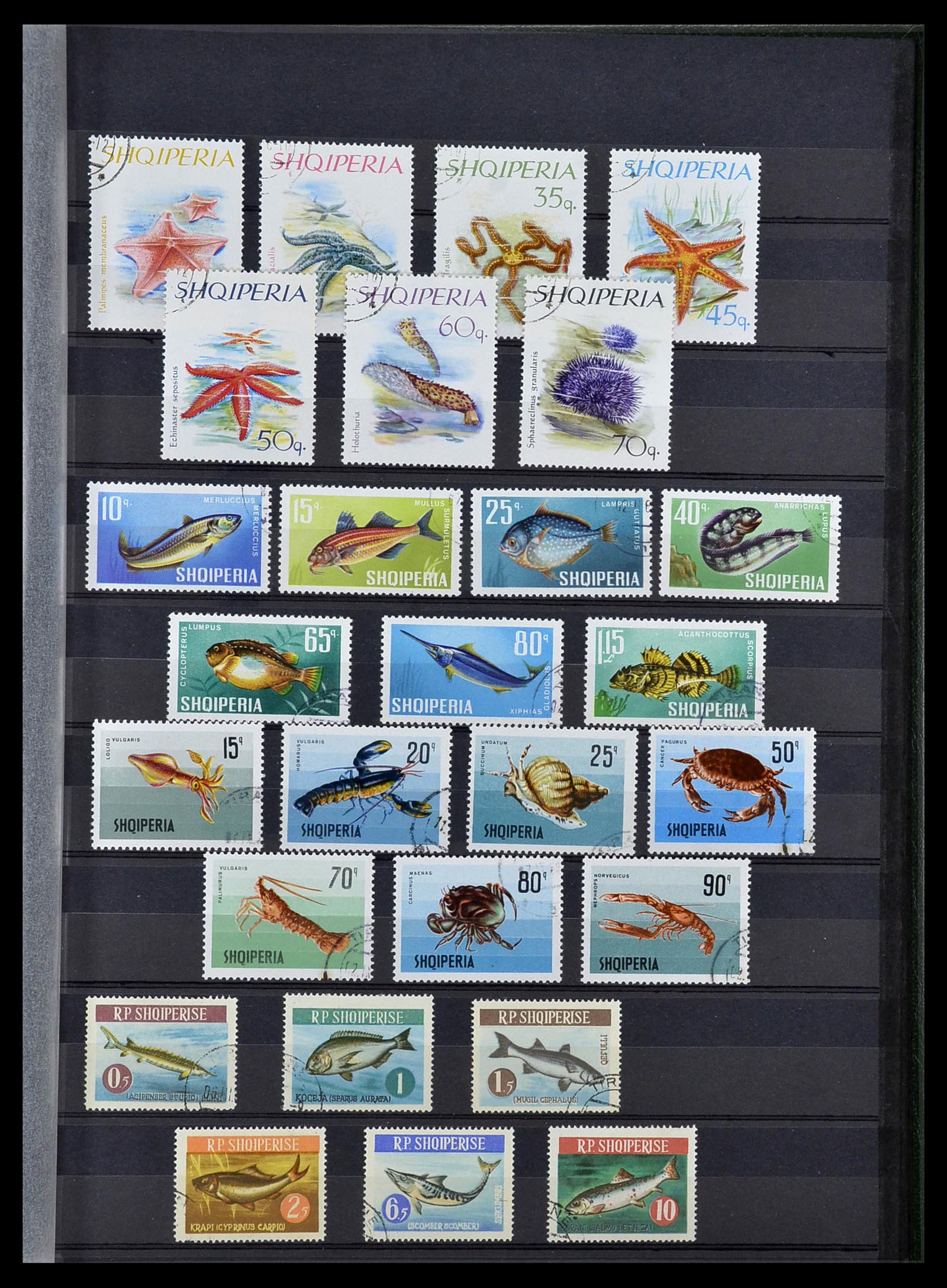 34290 087 - Postzegelverzameling 34290 Motief dieren postfris 1926-2005.