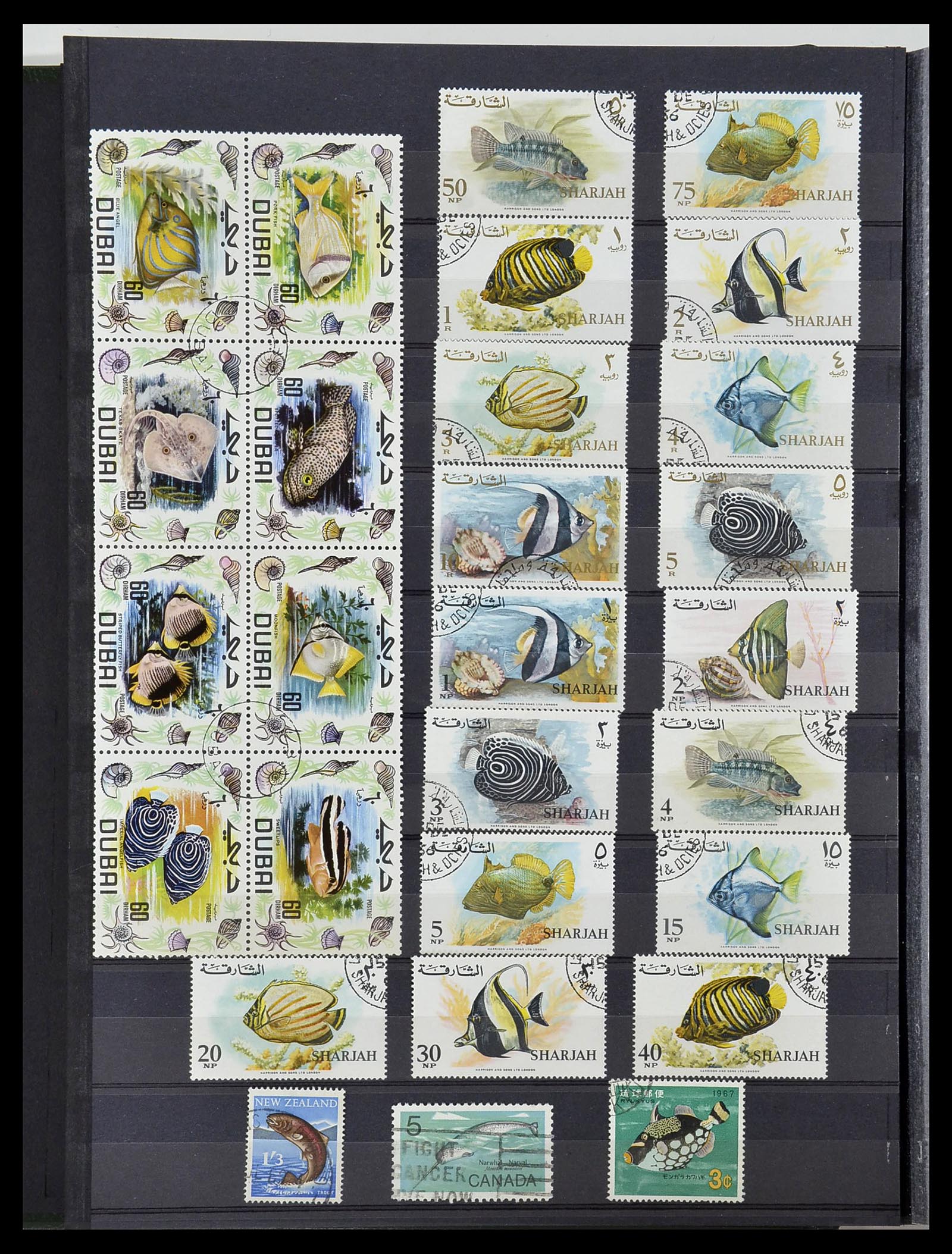 34290 088 - Stamp collection 34290 Theme animals MNH 1926-2005.