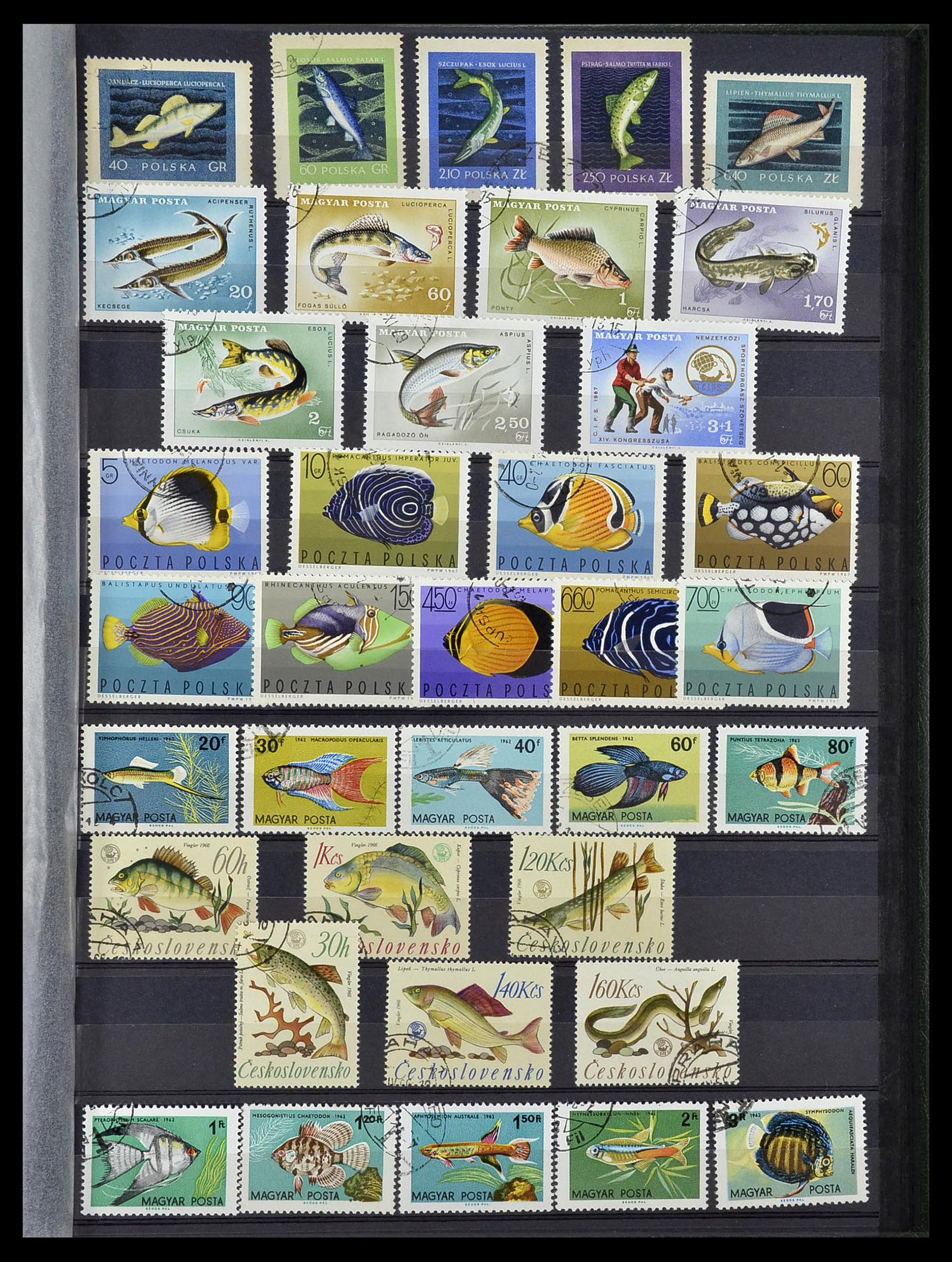 34290 089 - Postzegelverzameling 34290 Motief dieren postfris 1926-2005.