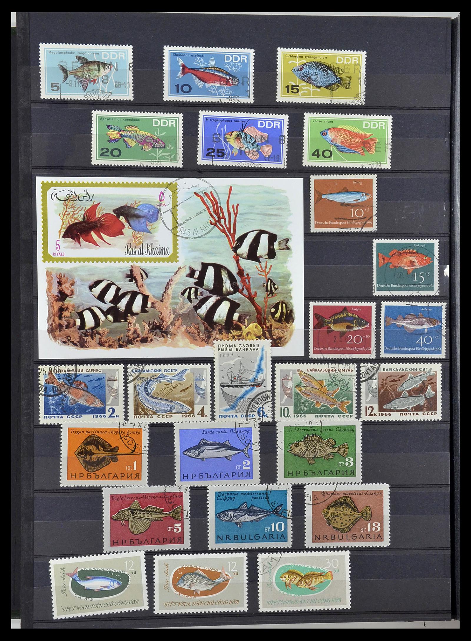 34290 090 - Postzegelverzameling 34290 Motief dieren postfris 1926-2005.