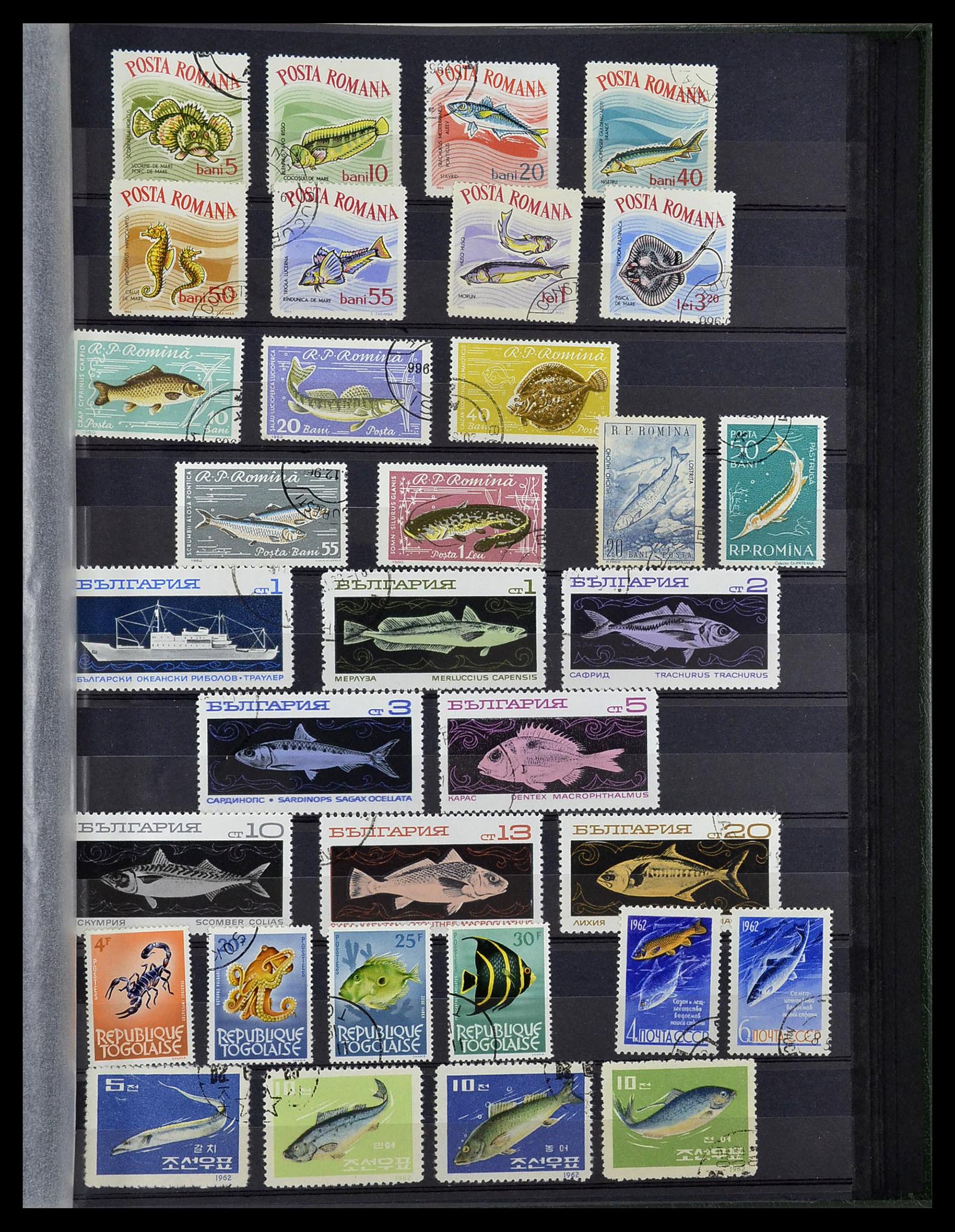 34290 091 - Postzegelverzameling 34290 Motief dieren postfris 1926-2005.