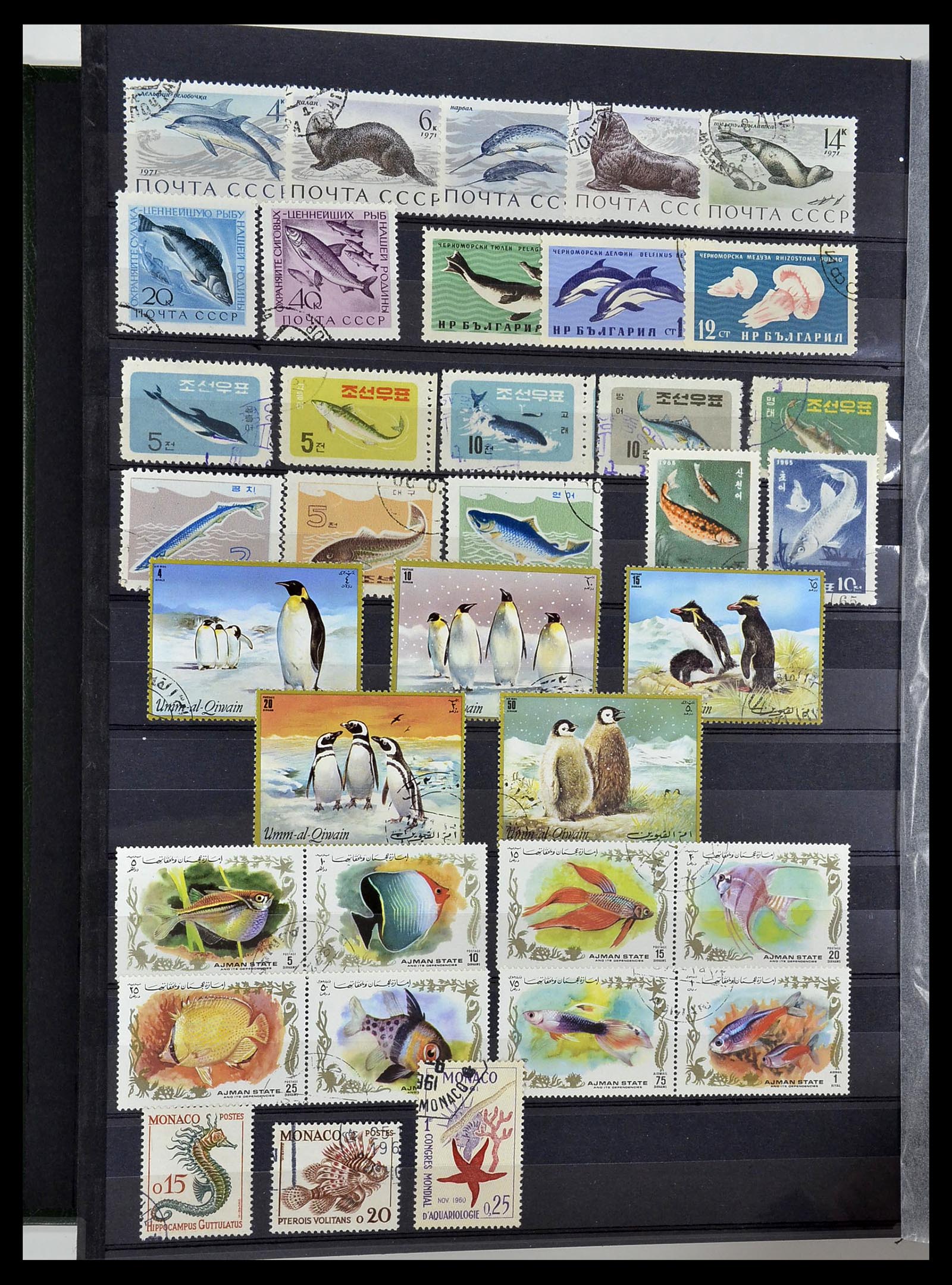 34290 092 - Postzegelverzameling 34290 Motief dieren postfris 1926-2005.