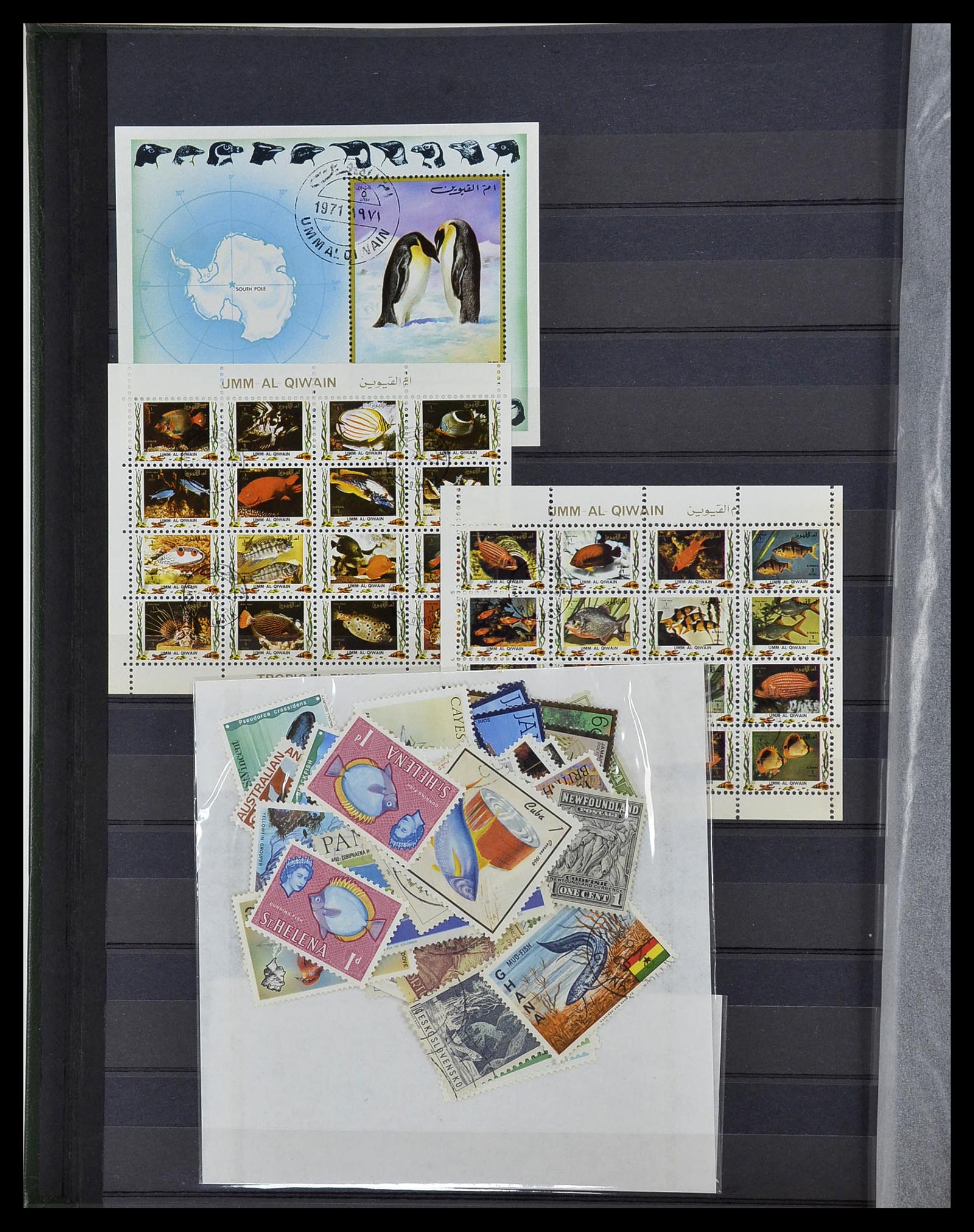 34290 096 - Postzegelverzameling 34290 Motief dieren postfris 1926-2005.