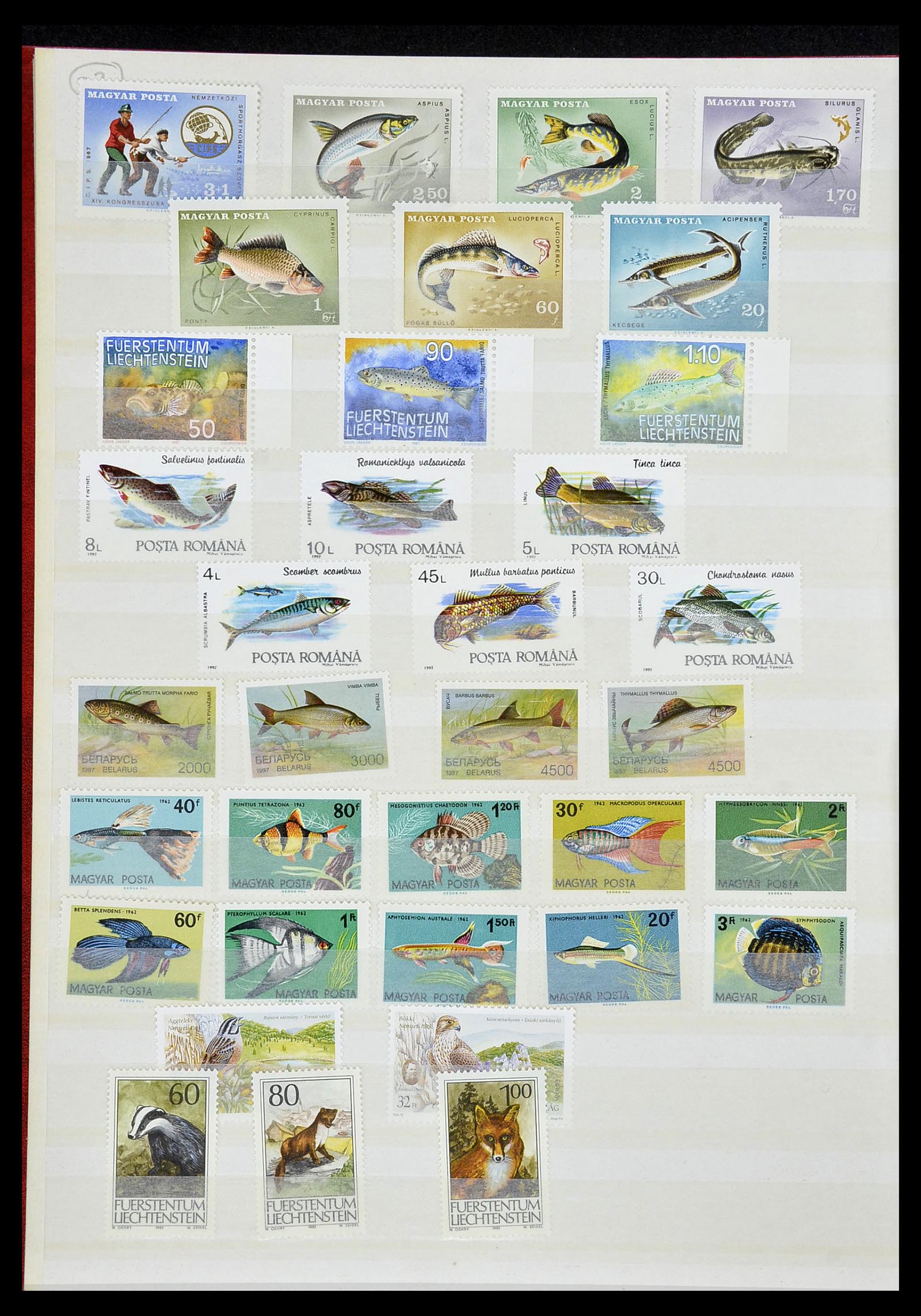 34290 275 - Postzegelverzameling 34290 Motief dieren postfris 1926-2005.
