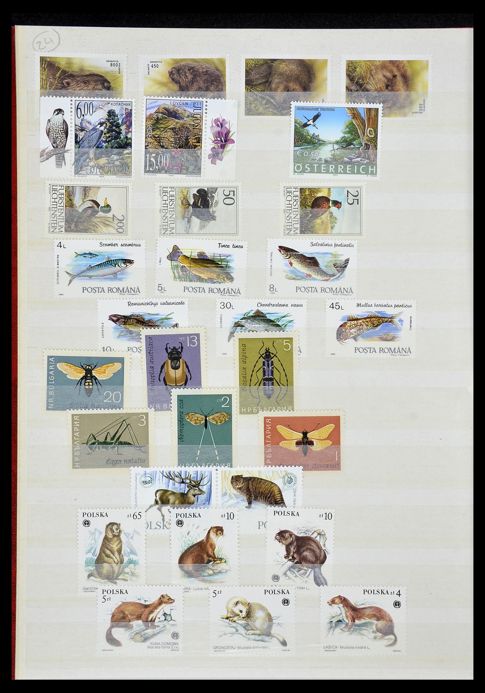 34290 277 - Postzegelverzameling 34290 Motief dieren postfris 1926-2005.