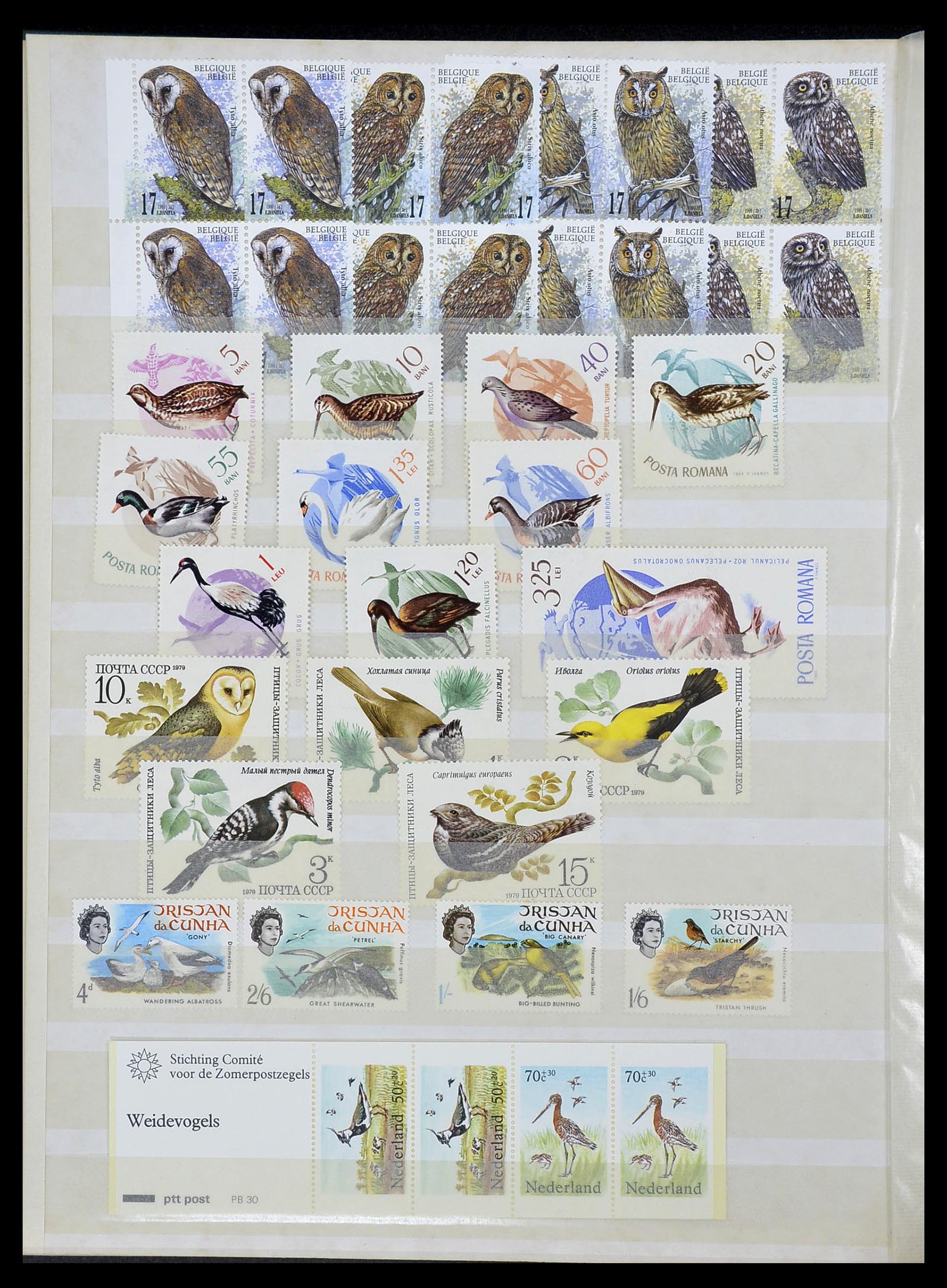 34290 296 - Postzegelverzameling 34290 Motief dieren postfris 1926-2005.