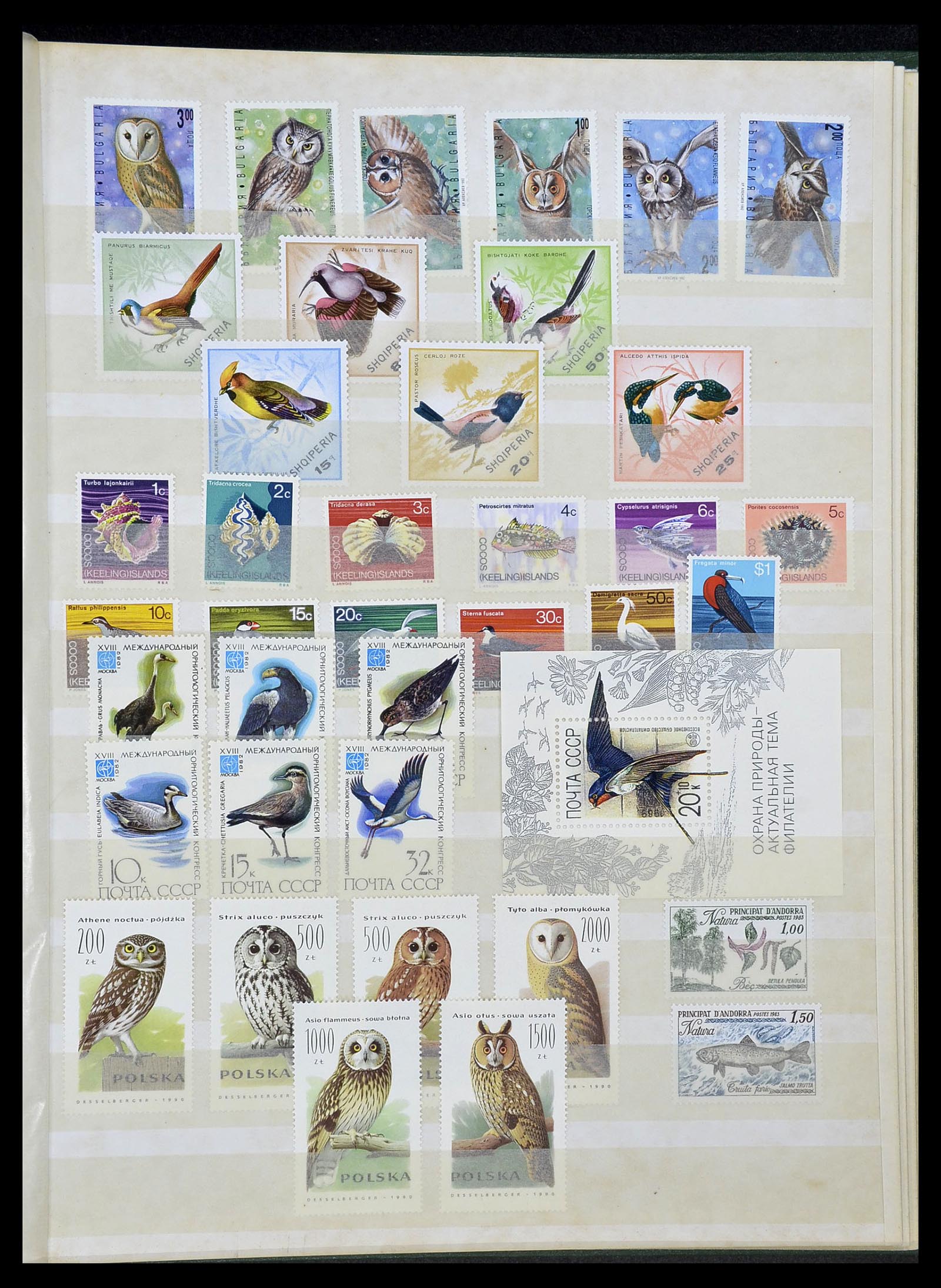 34290 299 - Postzegelverzameling 34290 Motief dieren postfris 1926-2005.