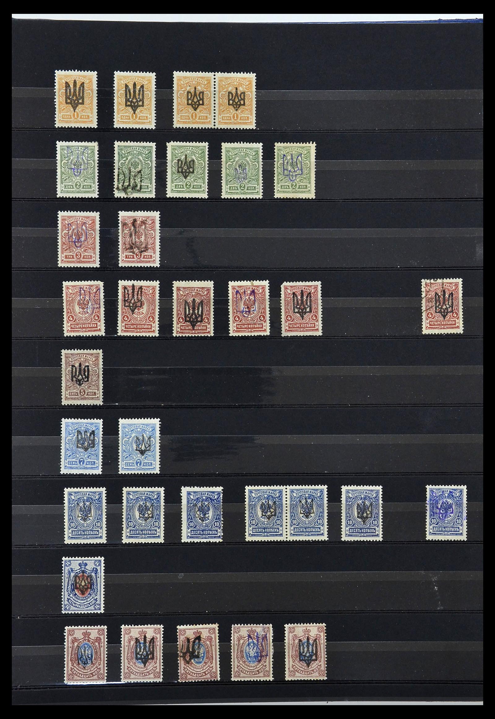 34294 010 - Postzegelverzameling 34294 Russische gebieden en back of the book 186