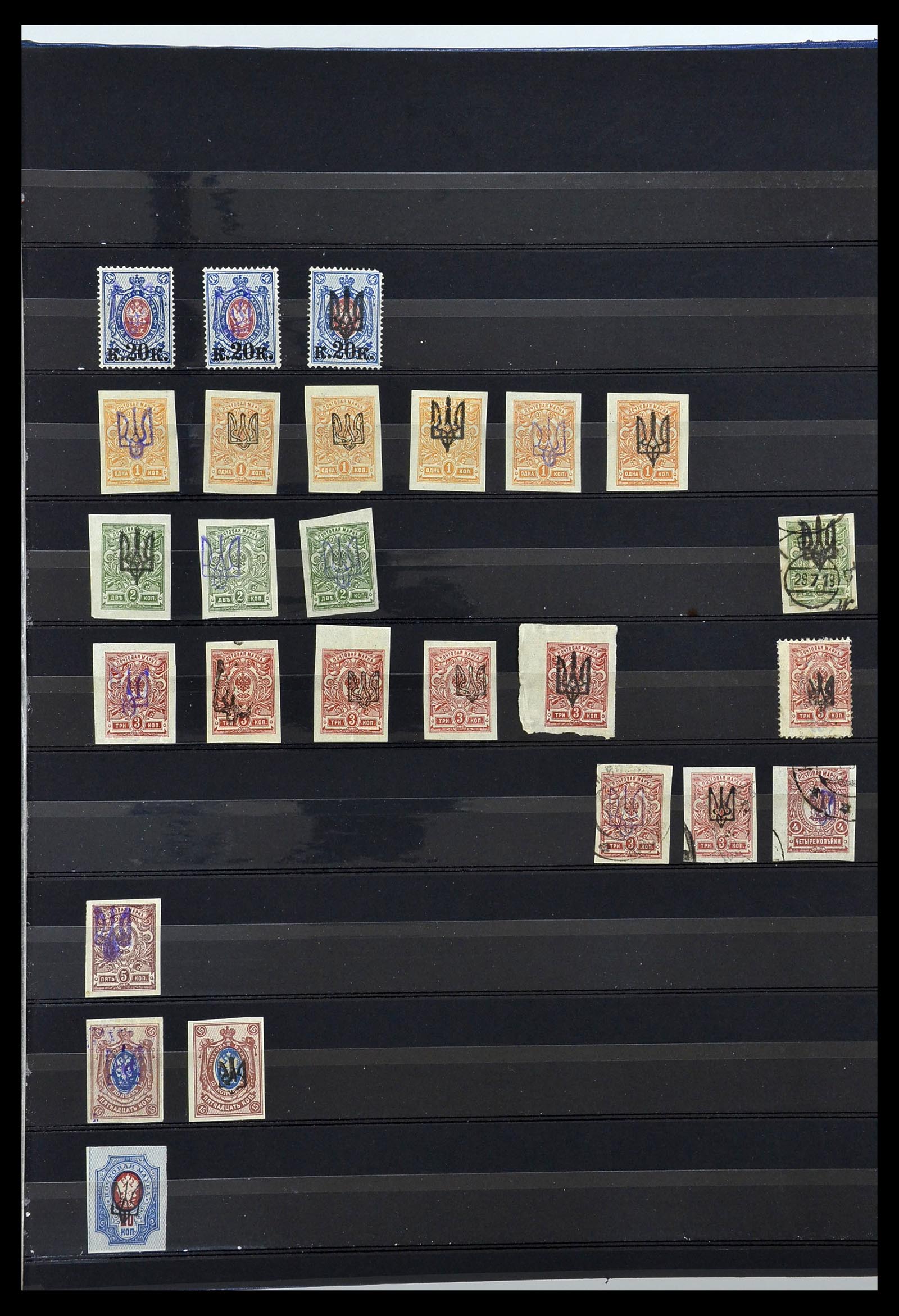 34294 012 - Postzegelverzameling 34294 Russische gebieden en back of the book 186