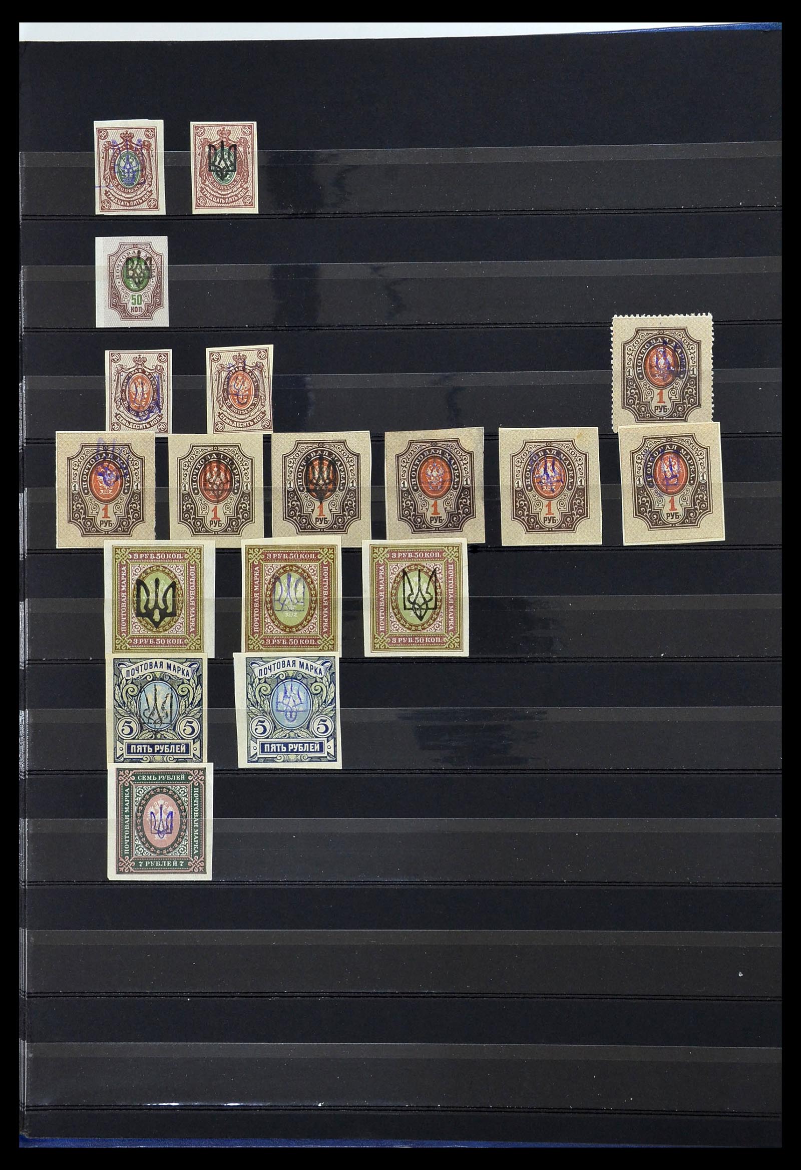 34294 013 - Postzegelverzameling 34294 Russische gebieden en back of the book 186