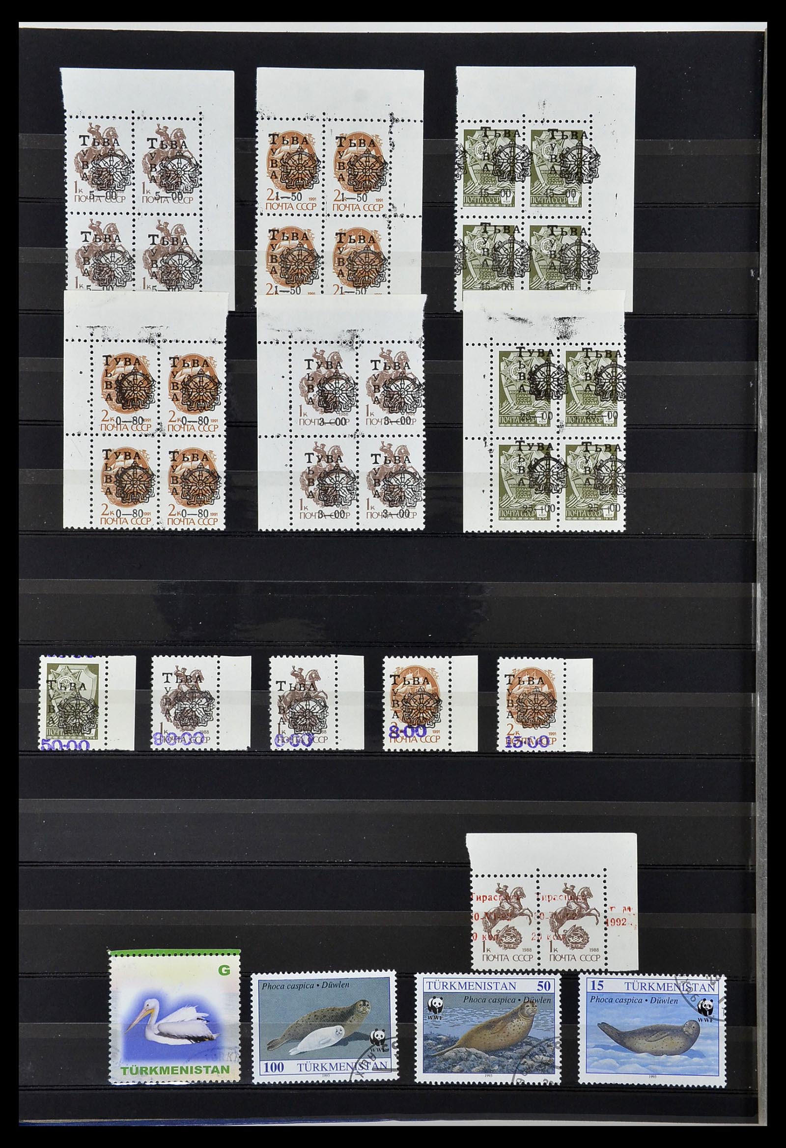 34294 030 - Postzegelverzameling 34294 Russische gebieden en back of the book 186