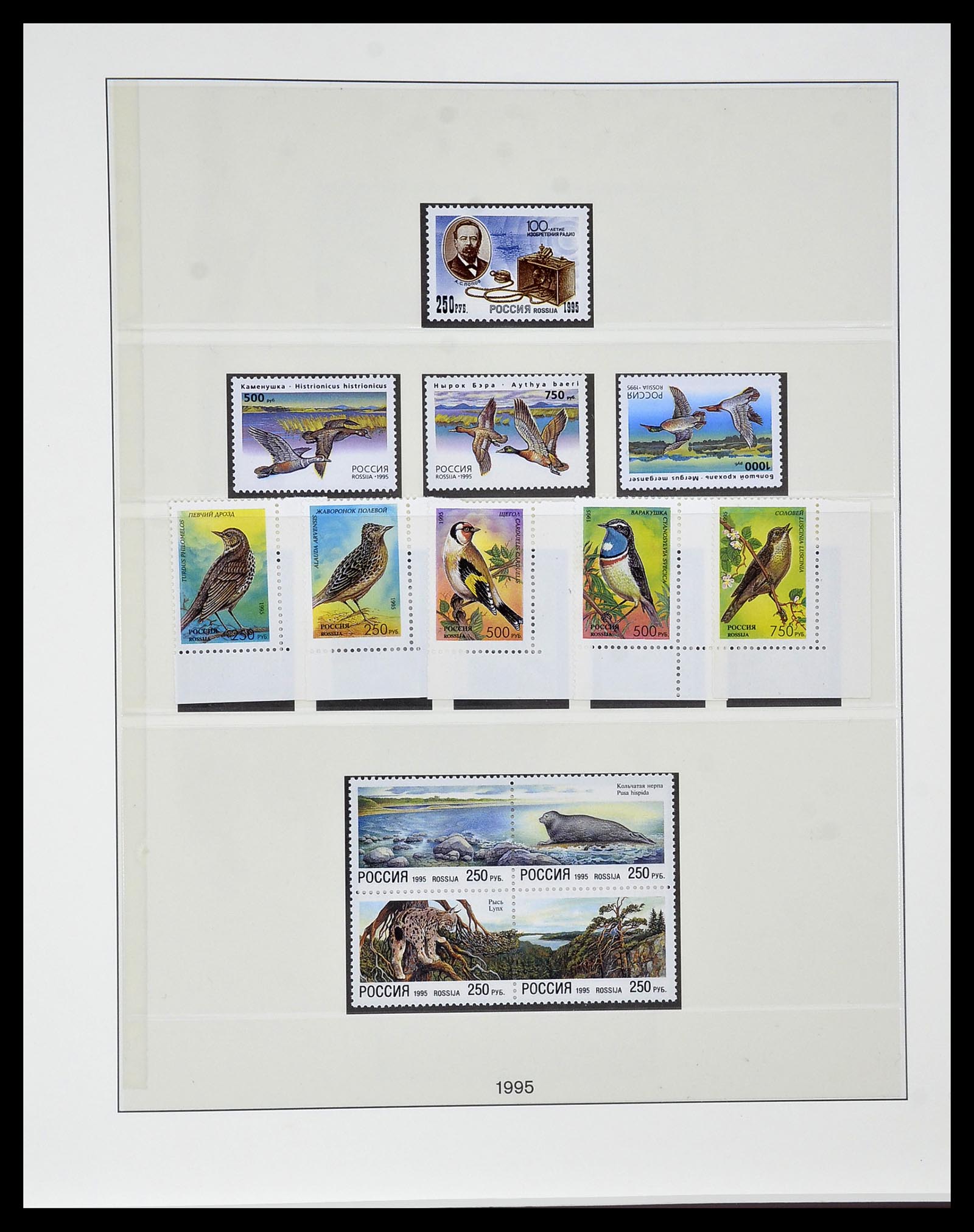 34318 024 - Postzegelverzameling 34318 Rusland 1992-2016!!