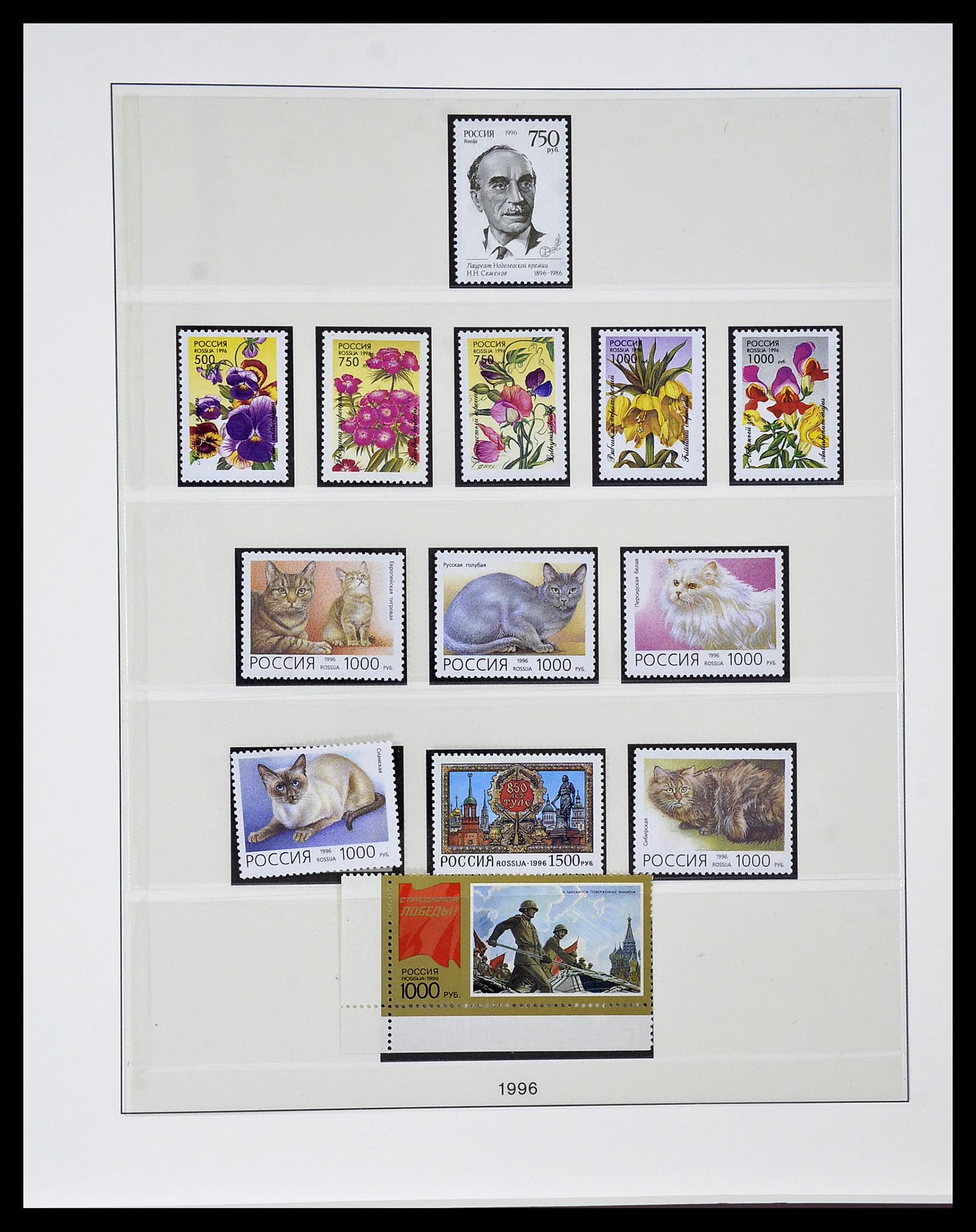 34318 029 - Postzegelverzameling 34318 Rusland 1992-2016!!