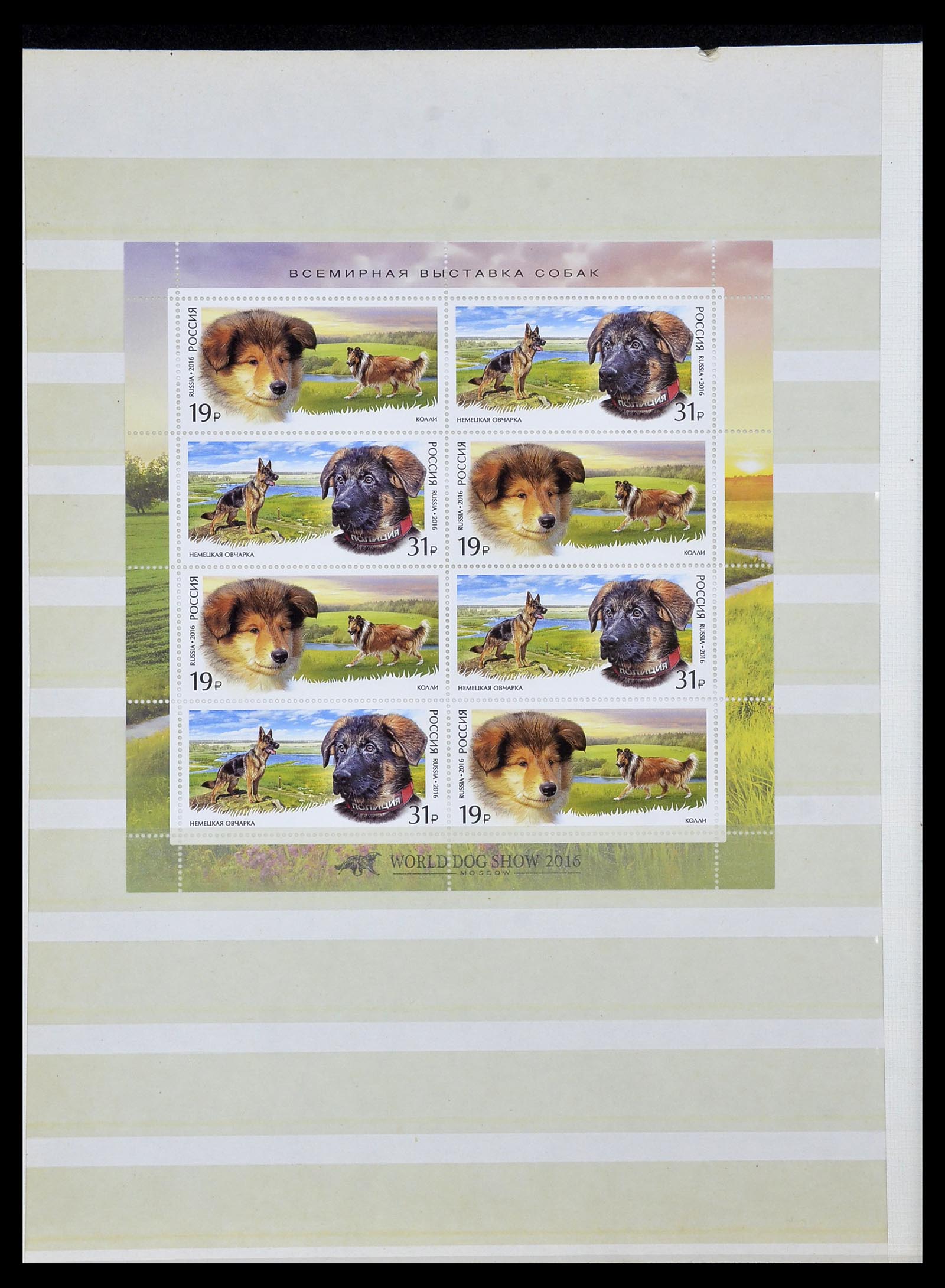 34318 285 - Stamp collection 34318 Russia 1992-2016!!