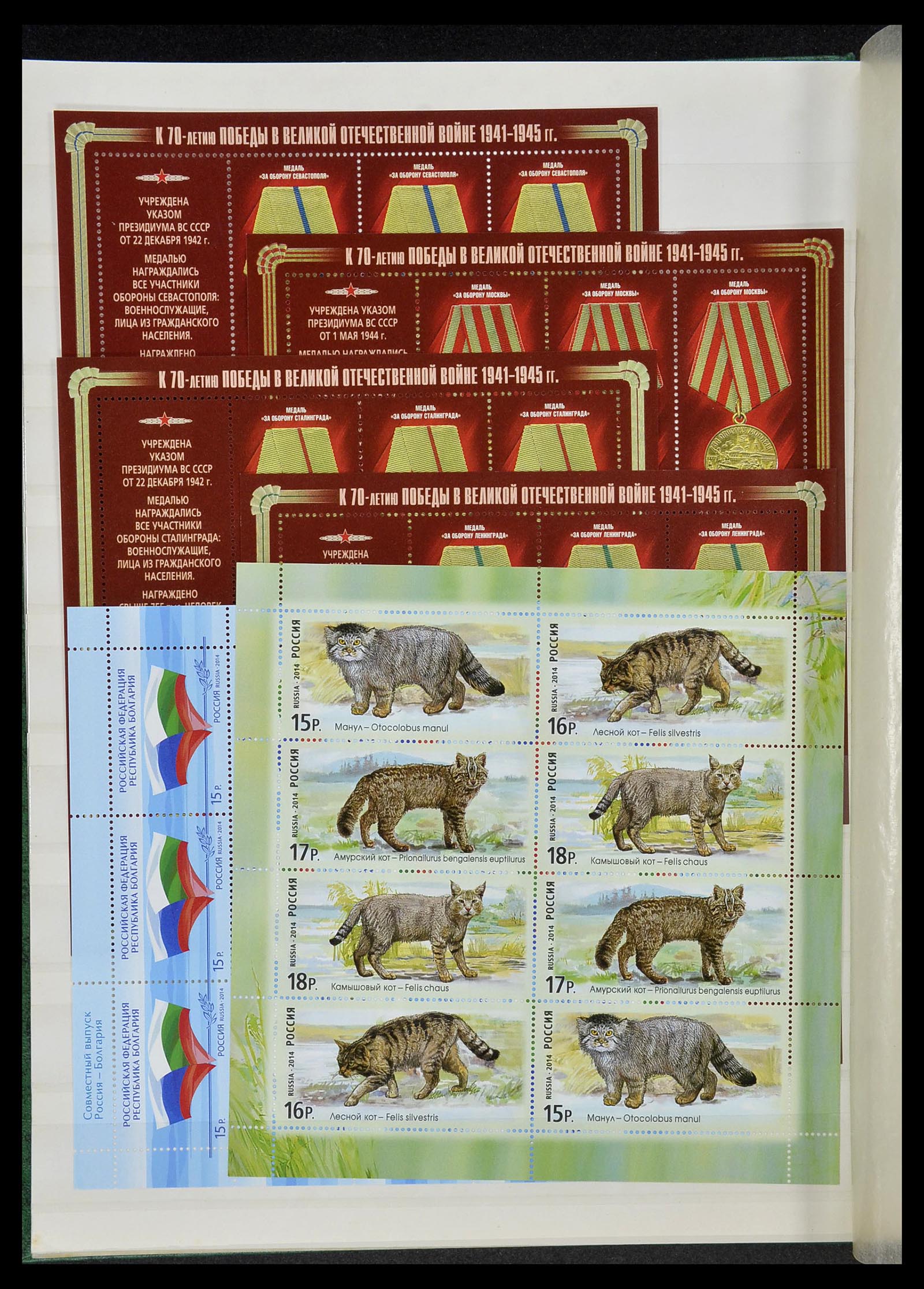 34318 308 - Postzegelverzameling 34318 Rusland 1992-2016!!