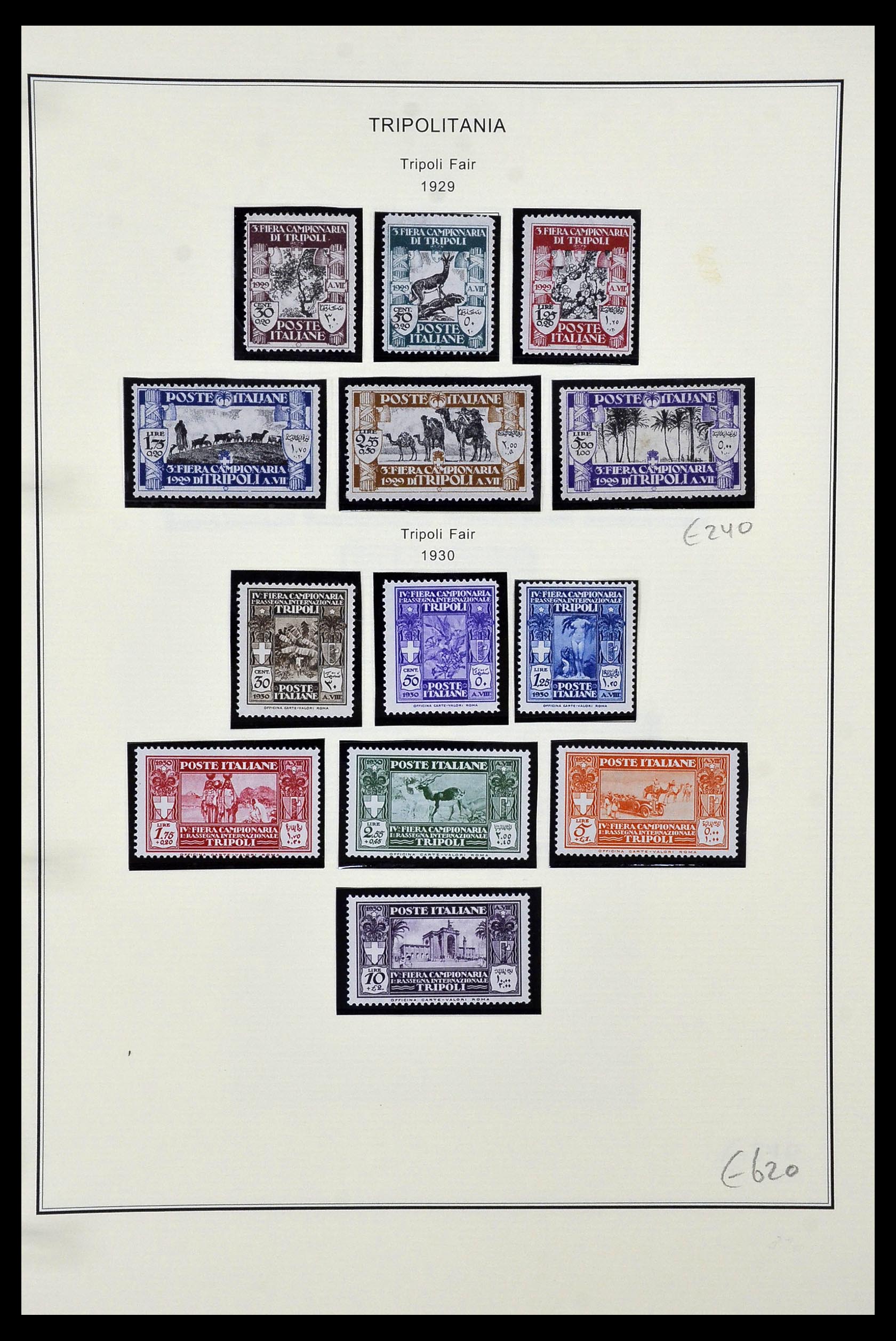 34320 142 - Postzegelverzameling 34320 Italiaanse gebieden en koloniën 1874-1941.