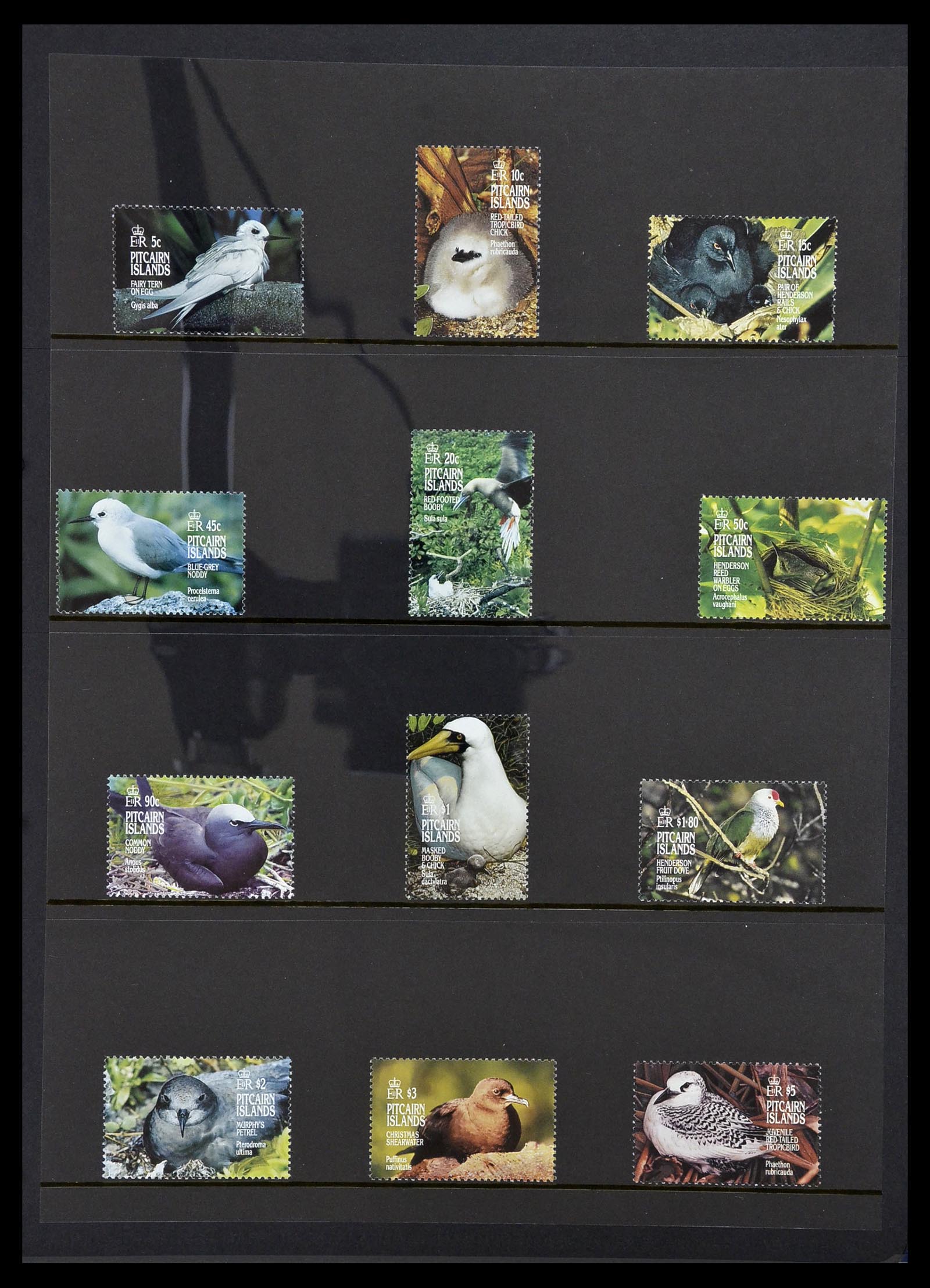 34355 014 - Postzegelverzameling 34355 Pitcairn 1940-1998.