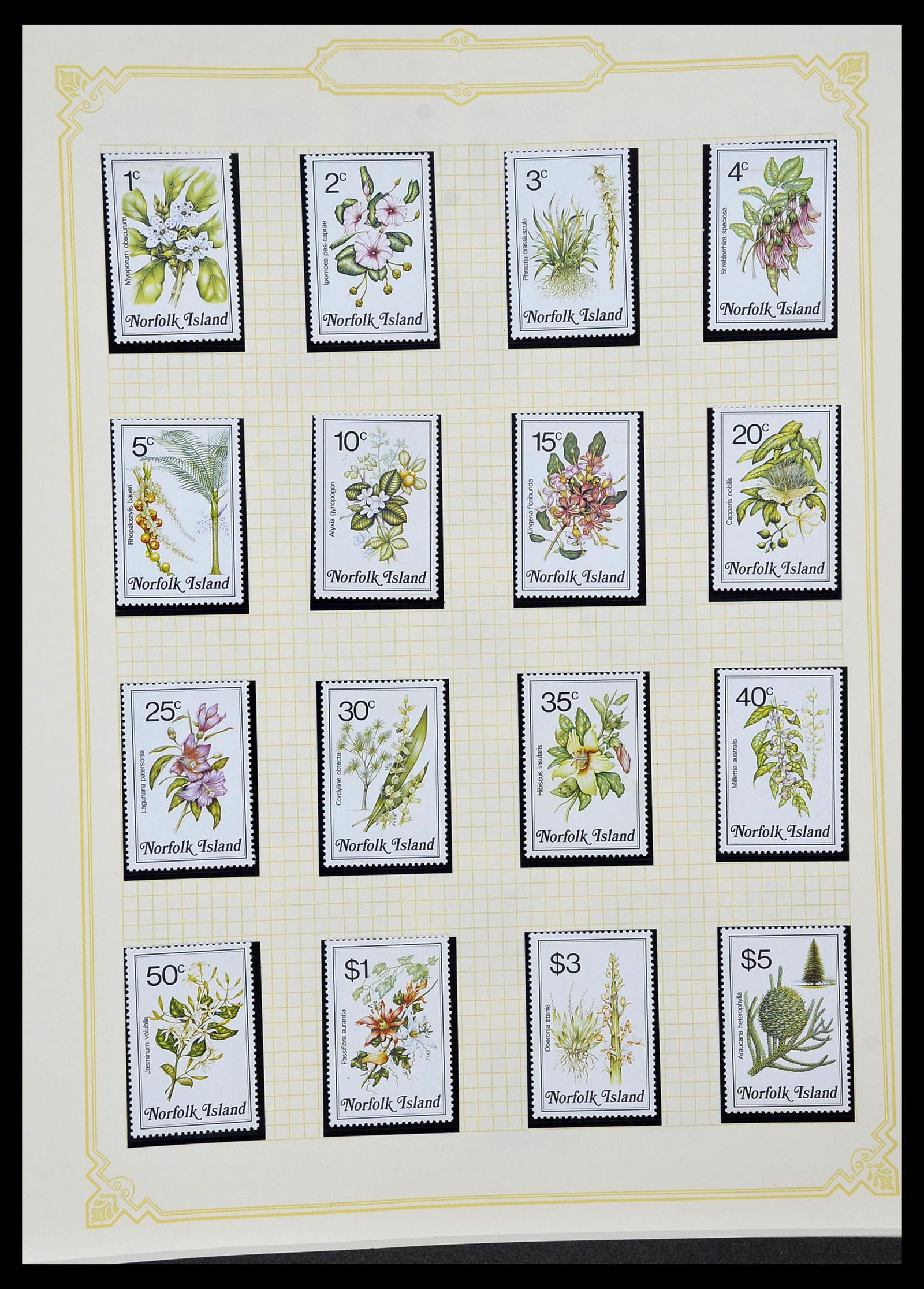 34358 094 - Postzegelverzameling 34358 Engelse koloniën in de stille Zuidzee 1908