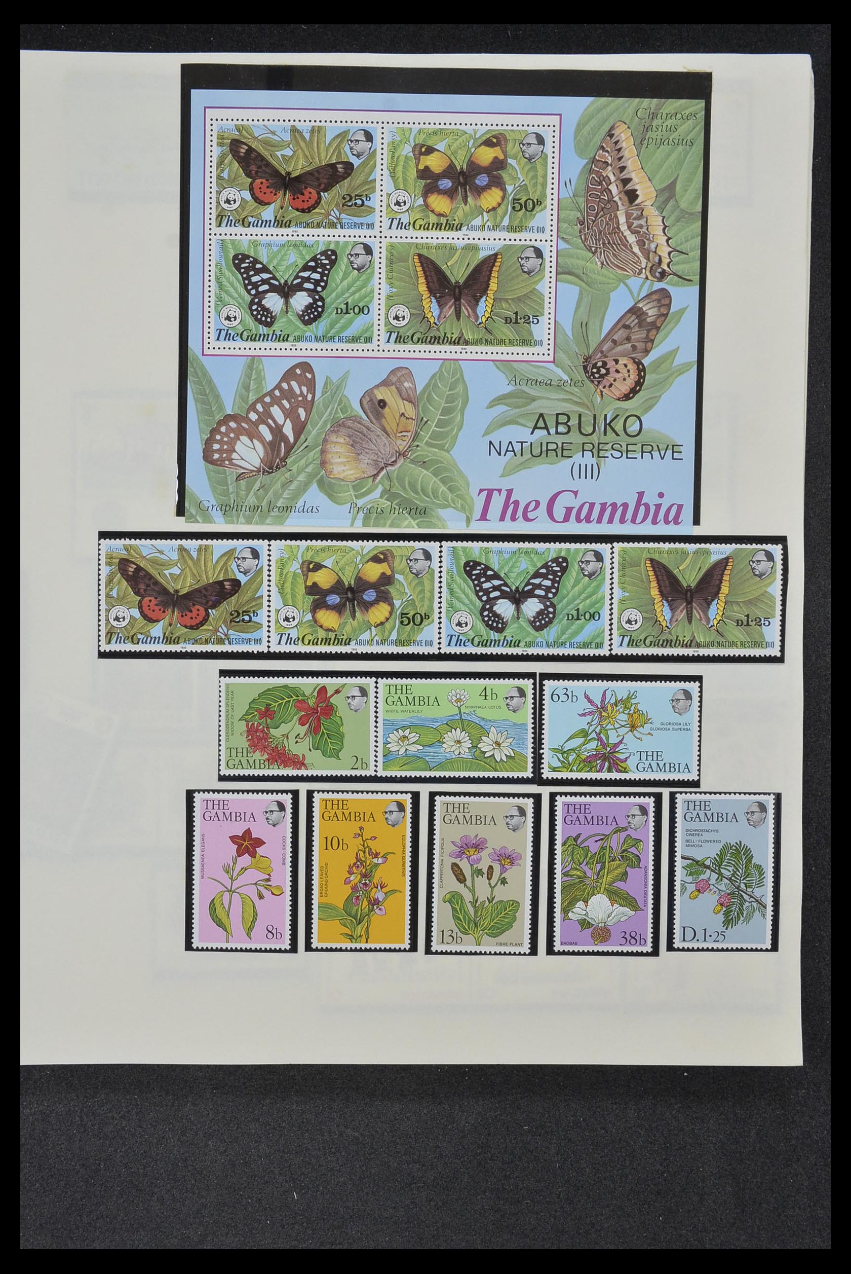 34381 020 - Postzegelverzameling 34381 Engelse koloniën 1937-1984.