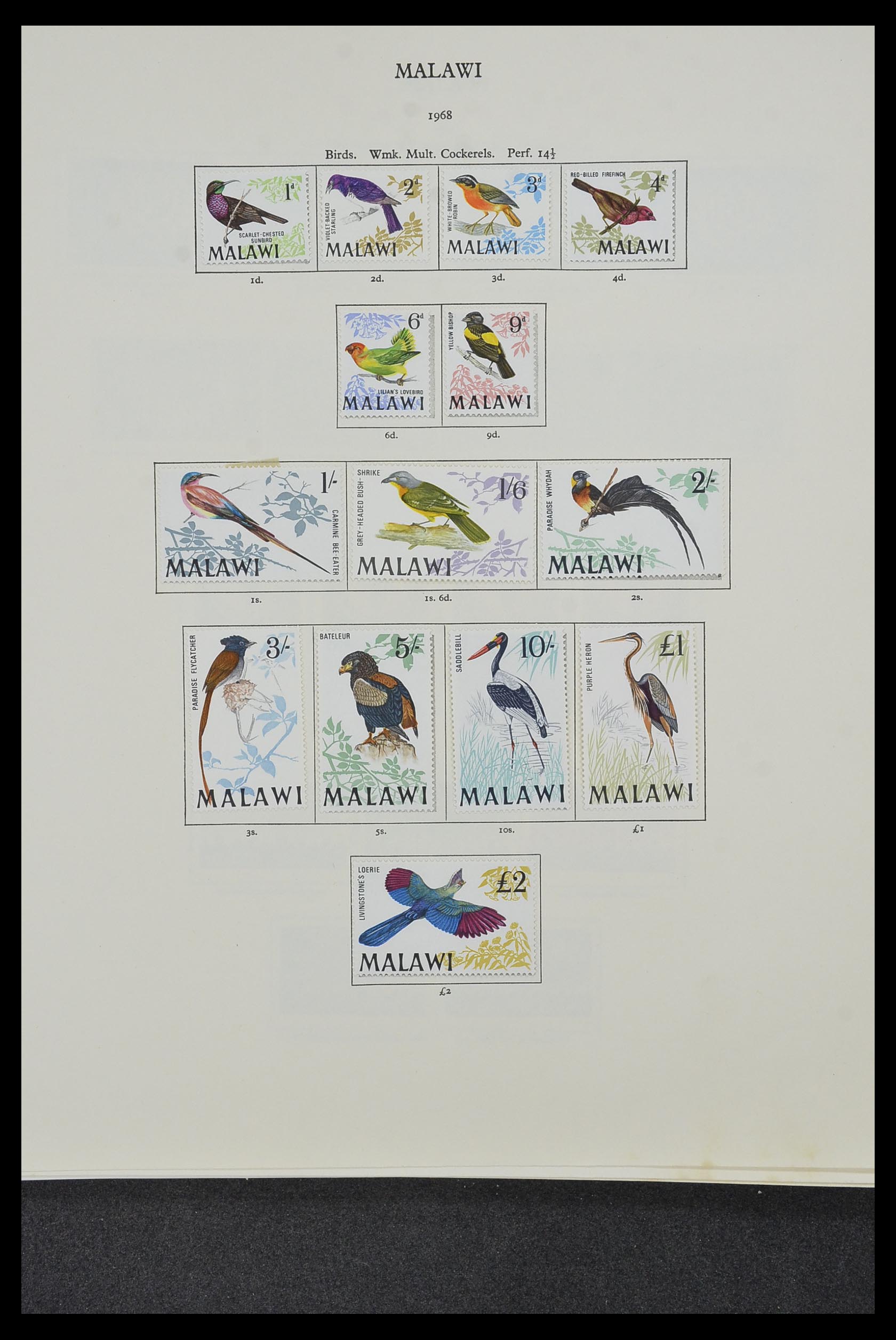 34381 034 - Postzegelverzameling 34381 Engelse koloniën 1937-1984.