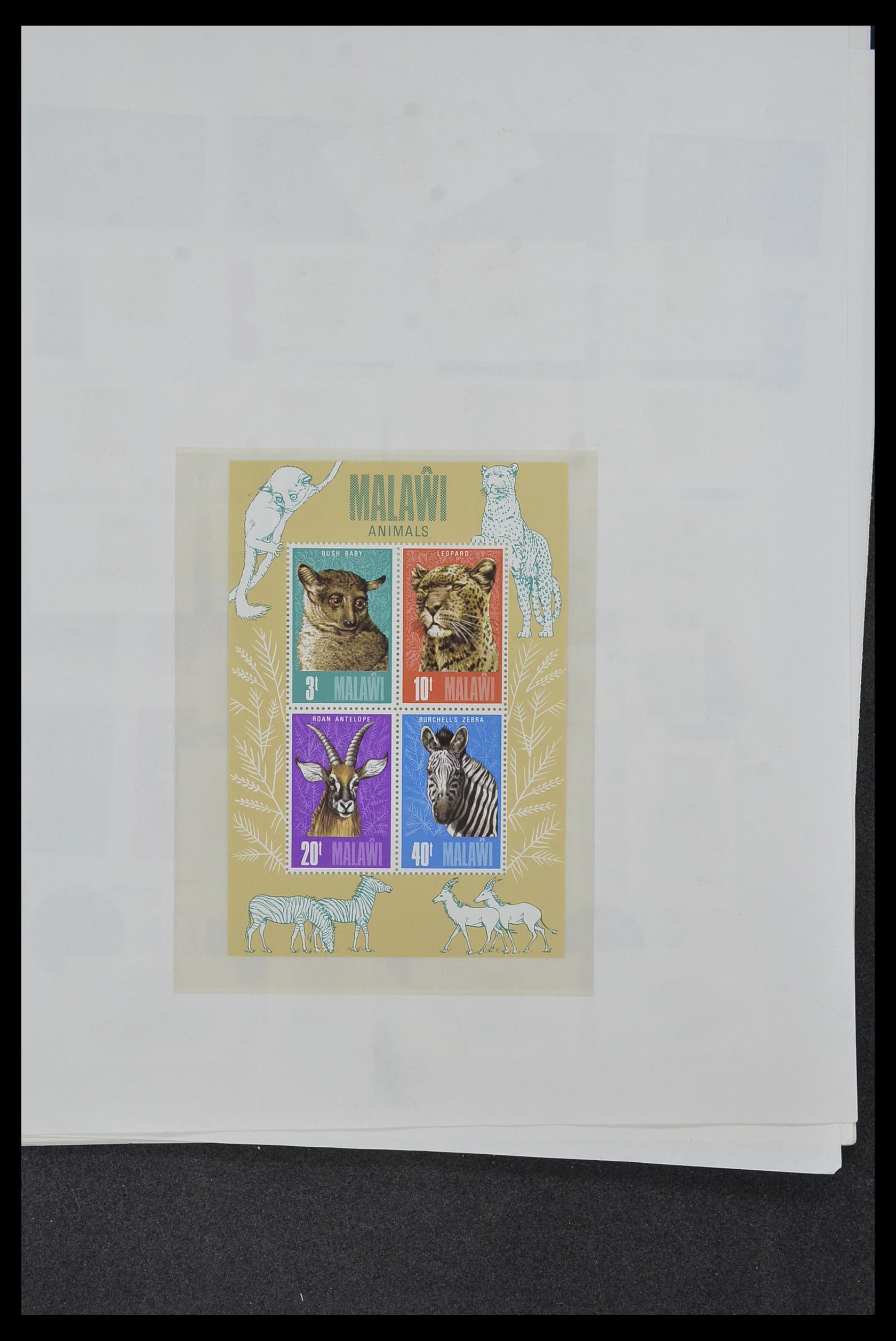 34381 044 - Postzegelverzameling 34381 Engelse koloniën 1937-1984.