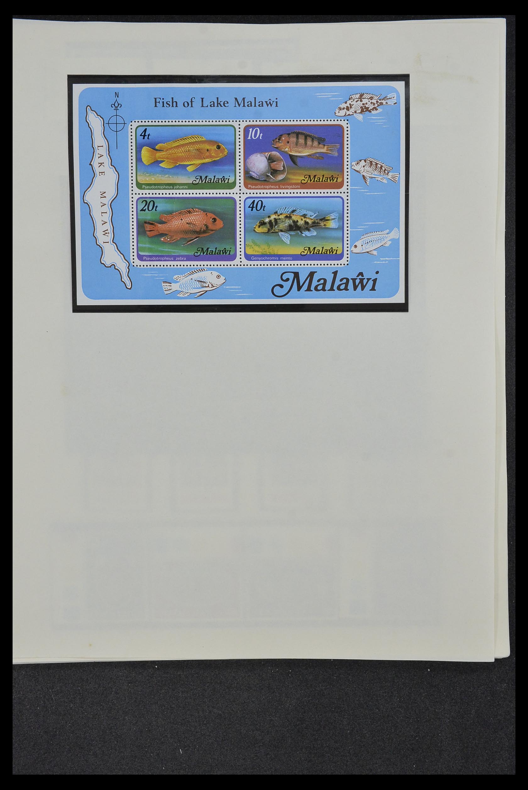 34381 048 - Postzegelverzameling 34381 Engelse koloniën 1937-1984.