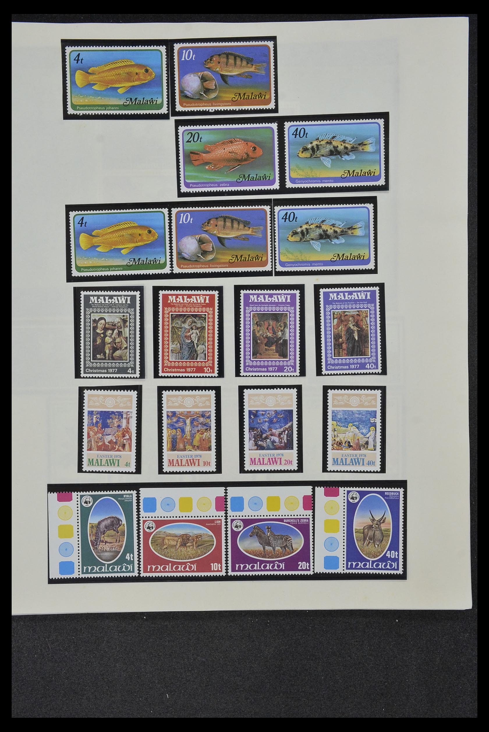 34381 049 - Postzegelverzameling 34381 Engelse koloniën 1937-1984.