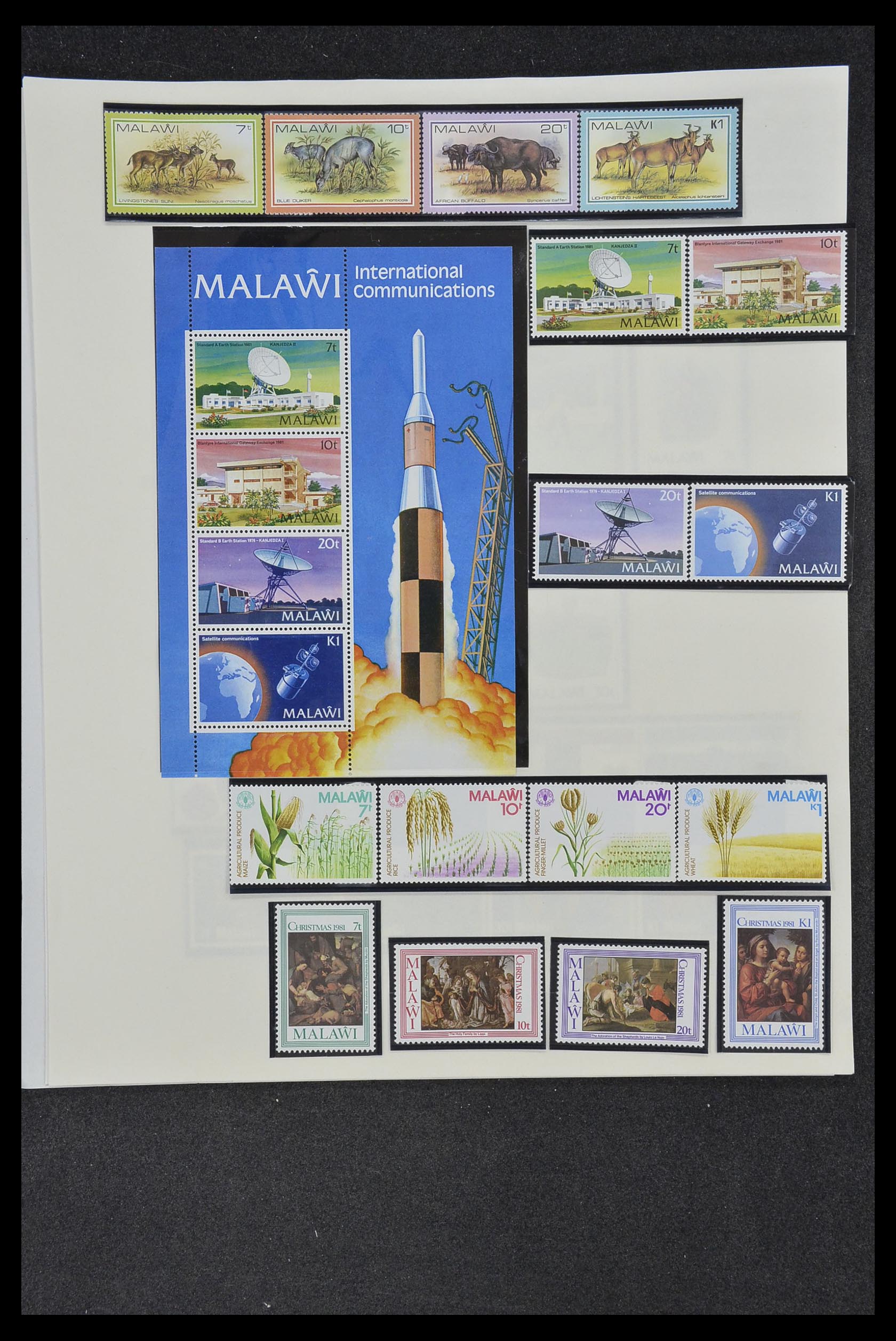 34381 055 - Postzegelverzameling 34381 Engelse koloniën 1937-1984.